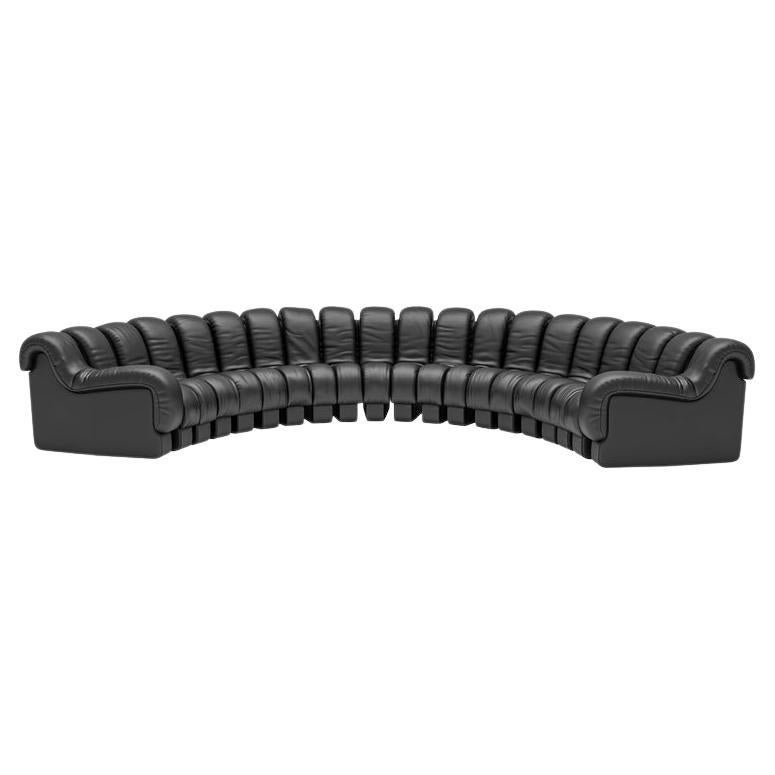 De Sede DS-600 Nonstop Snake Shaped Modular Sofa in Black Leather  For Sale
