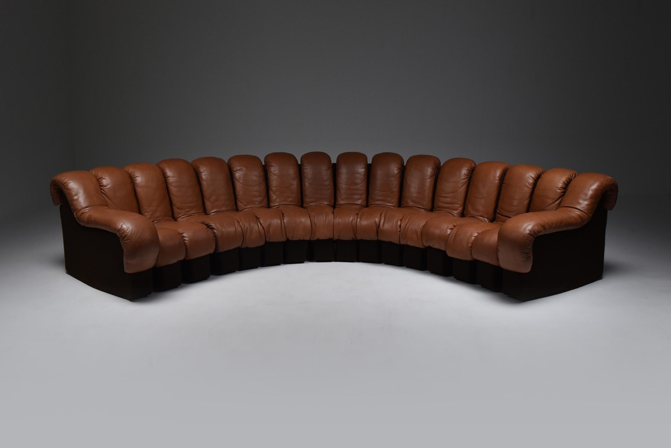 De Sede ‘Snake’ DS-600, brown leather, Switzerland, 1972. 

Design by Ueli bergere, Elenora Peduzzi-Riva, Heinz Ulrich and Klaus Vogt at De Sede, Switzerland.
 De Sede 'Non Stop' sectional sofa containing of fourteen seating pieces and two