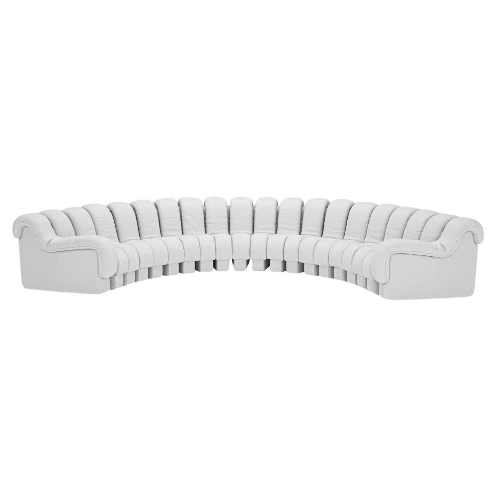 De Sede DS-600 SNAKE OUTDOOR Sofa von  U. Berger, E. Peduzzi-Riva, H. Ulrich, K. Vogt im Angebot