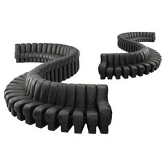 De Sede DS 600 'Snake' Seating Landscape with 80 Elements in Nappa Leather (Paysage de sièges 'serpent' avec 80 éléments en cuir nappa)
