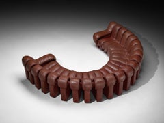 De Sede DS-600 'Snake' Sectional Sofa in Brown Leather