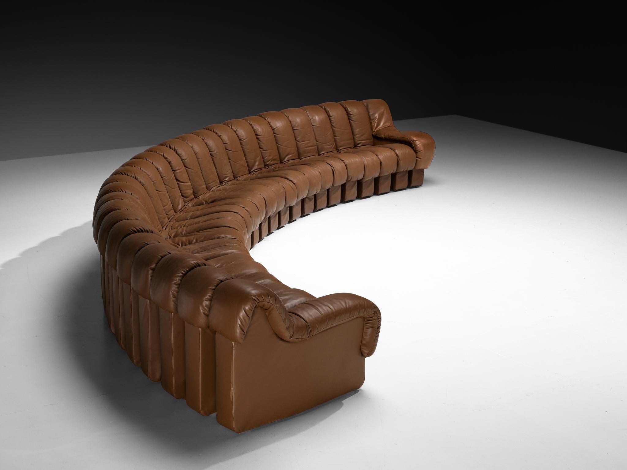 Swiss De Sede DS-600 'Snake' Sectional Sofa in Brown Leather For Sale