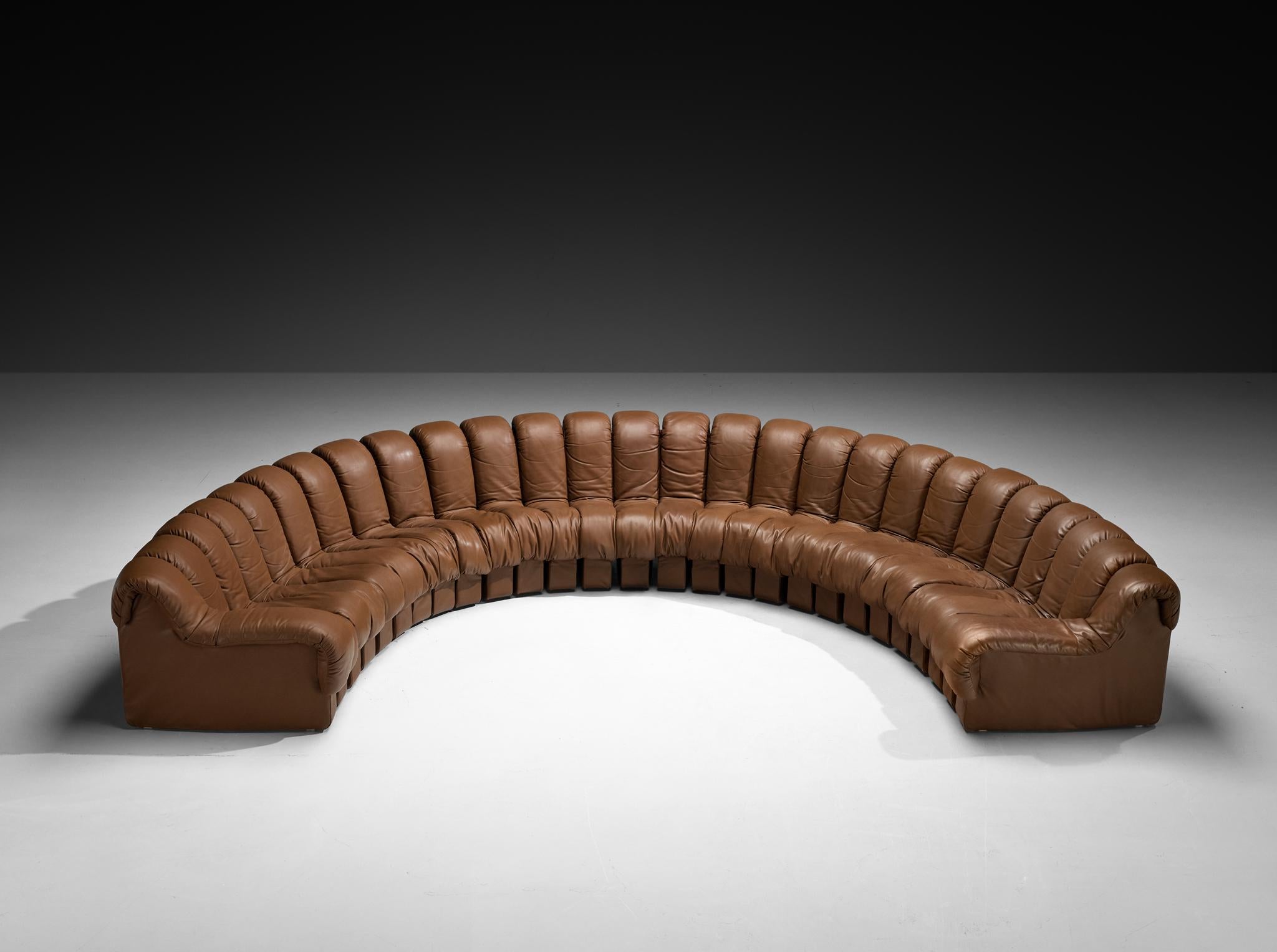 De Sede DS-600 'Snake' Sectional Sofa in Brown Leather In Good Condition For Sale In Waalwijk, NL