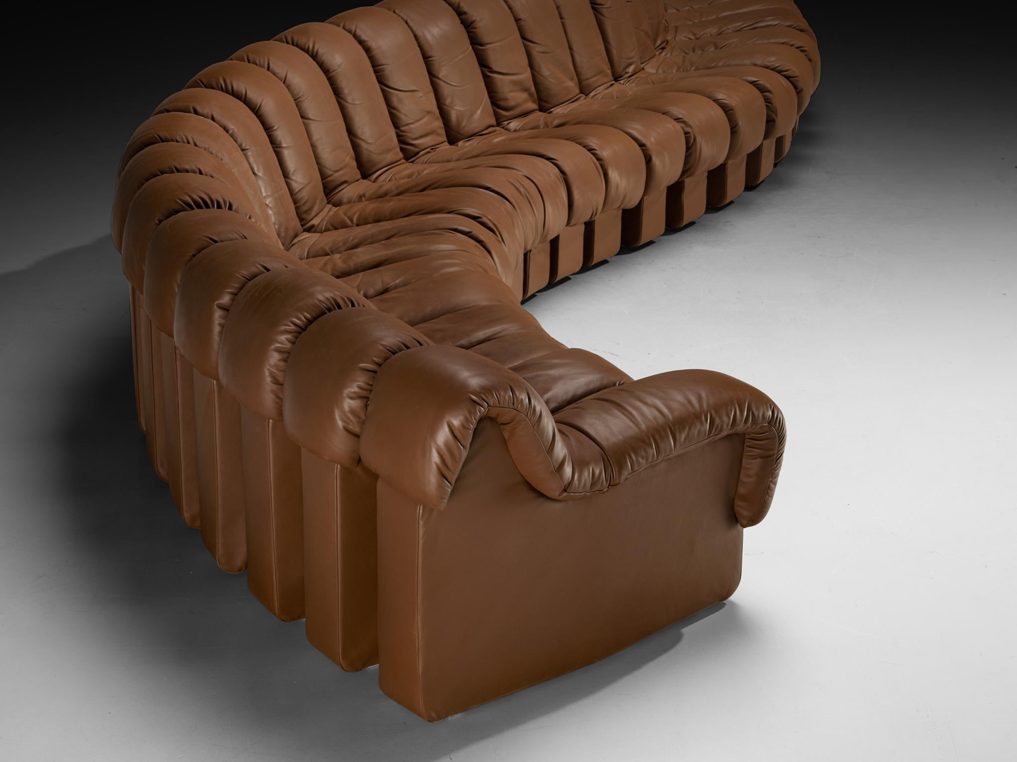 Late 20th Century De Sede DS-600 'Snake' Sectional Sofa in Brown Leather For Sale
