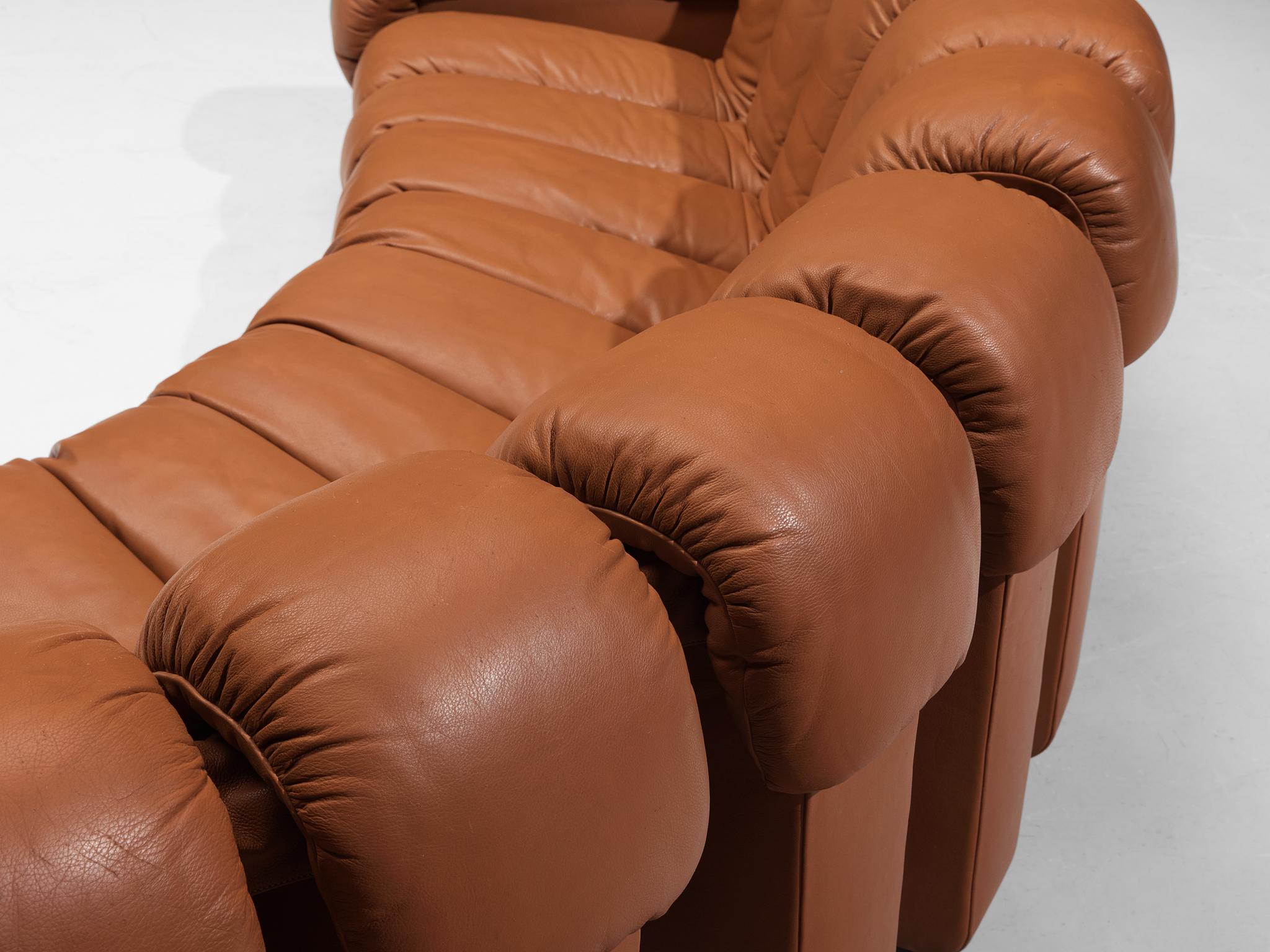couch snake