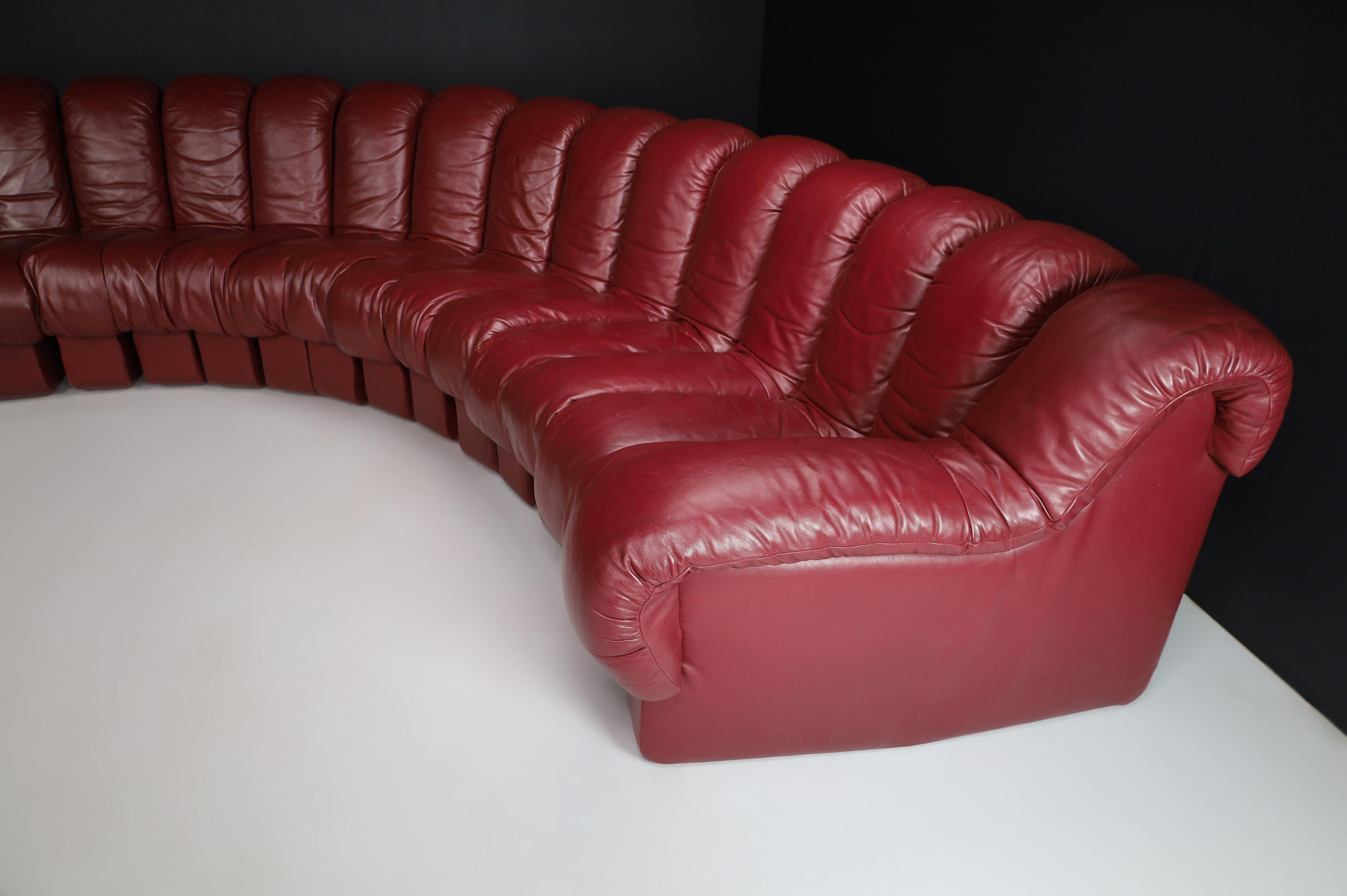 De Sede DS-600 'Snake' Sectional Sofa in Full Bordeaux Leather by Ueli Berger. For Sale 4