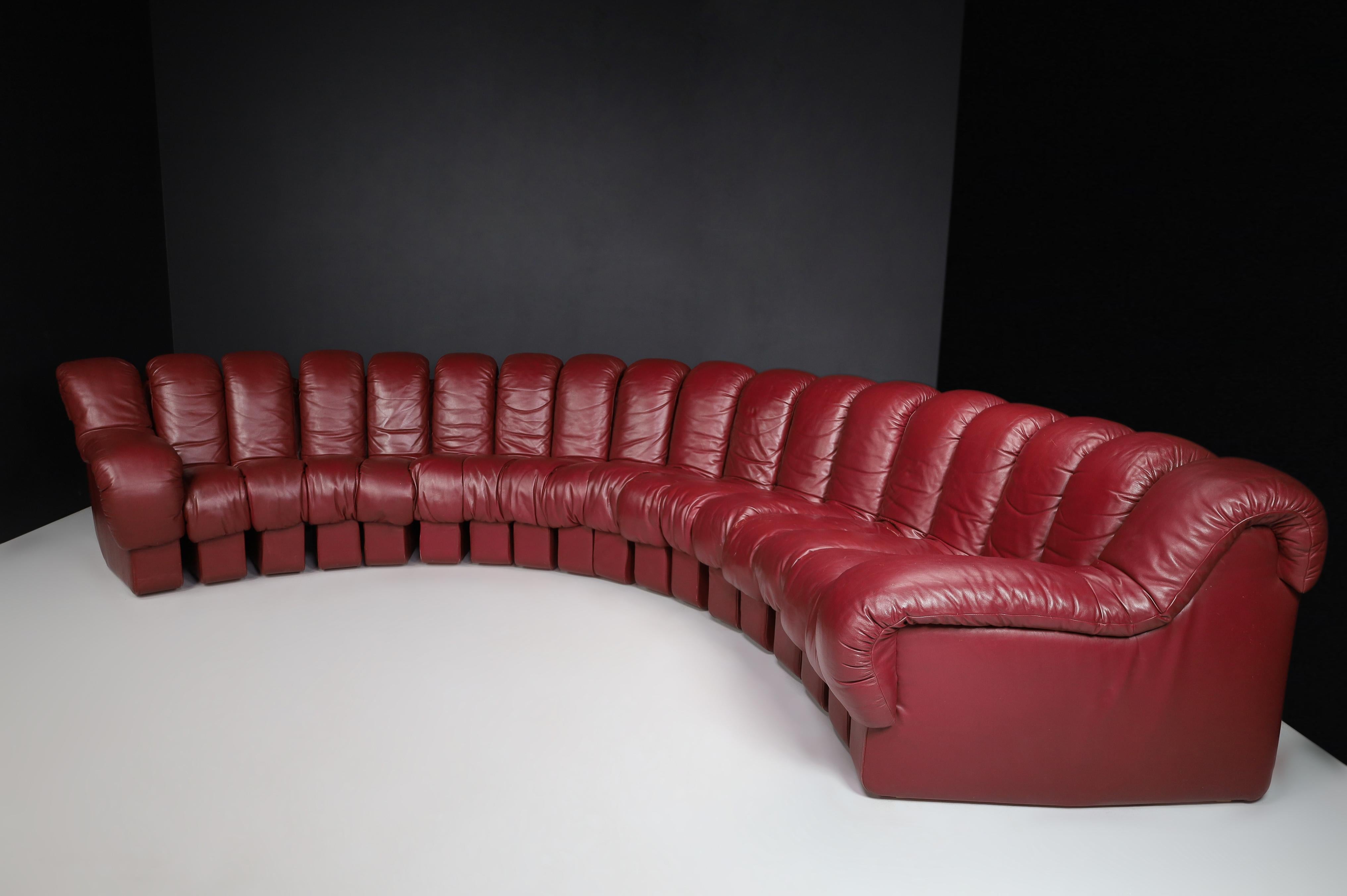 De Sede DS-600 'Snake' Sectional Sofa in Full Bordeaux Leather by Ueli Berger. For Sale 5