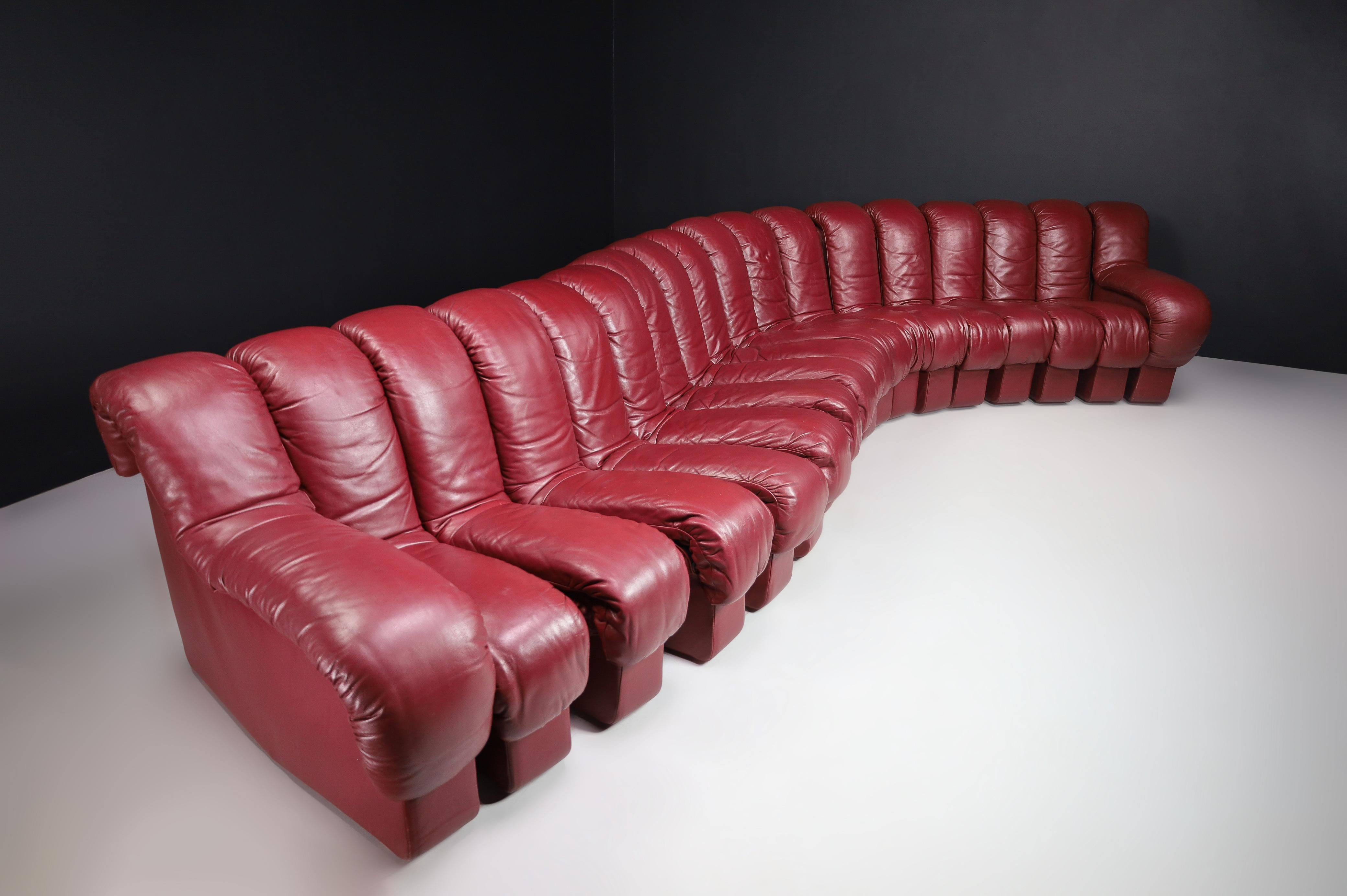 De Sede DS-600 'Snake' Sectional Sofa in Full Bordeaux Leather by Ueli Berger. For Sale 9