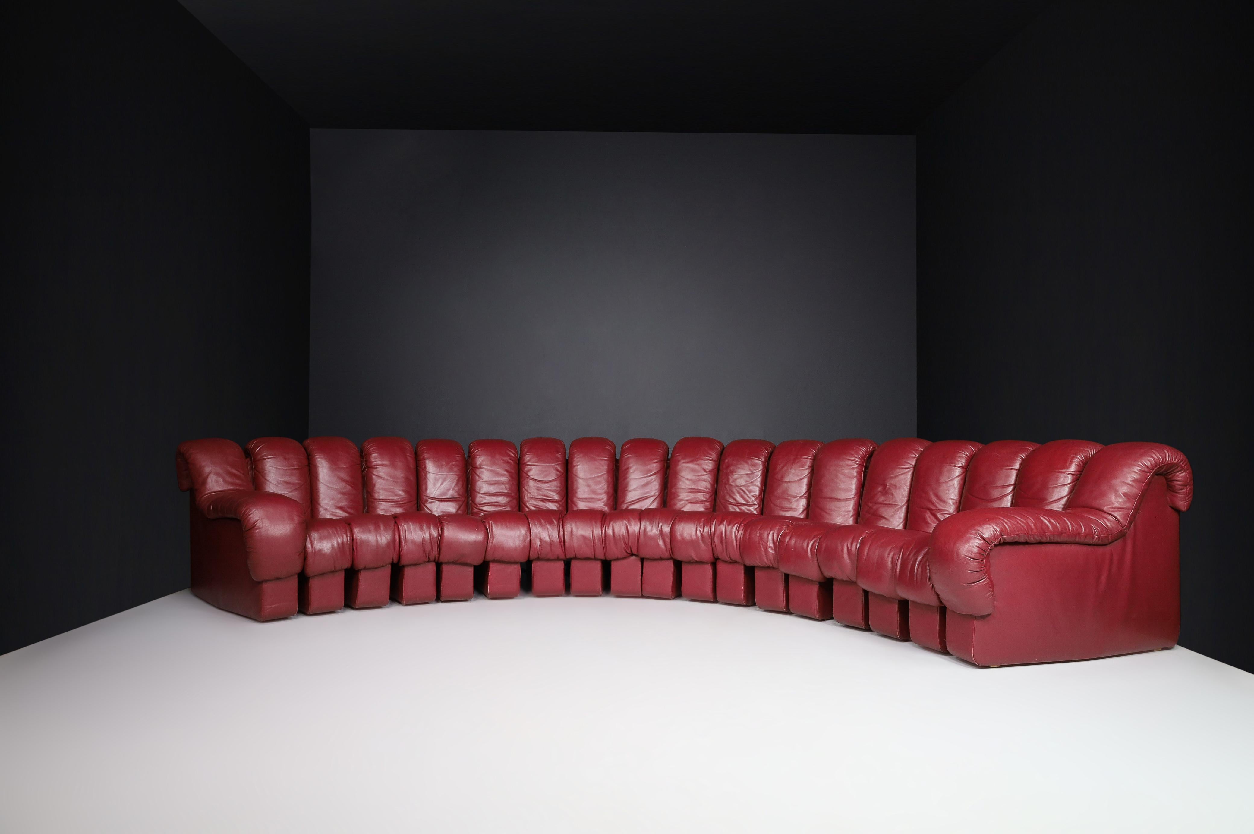 De Sede DS-600 'Snake' Sectional Sofa in Full Bordeaux Leather by Ueli Berger. For Sale 12