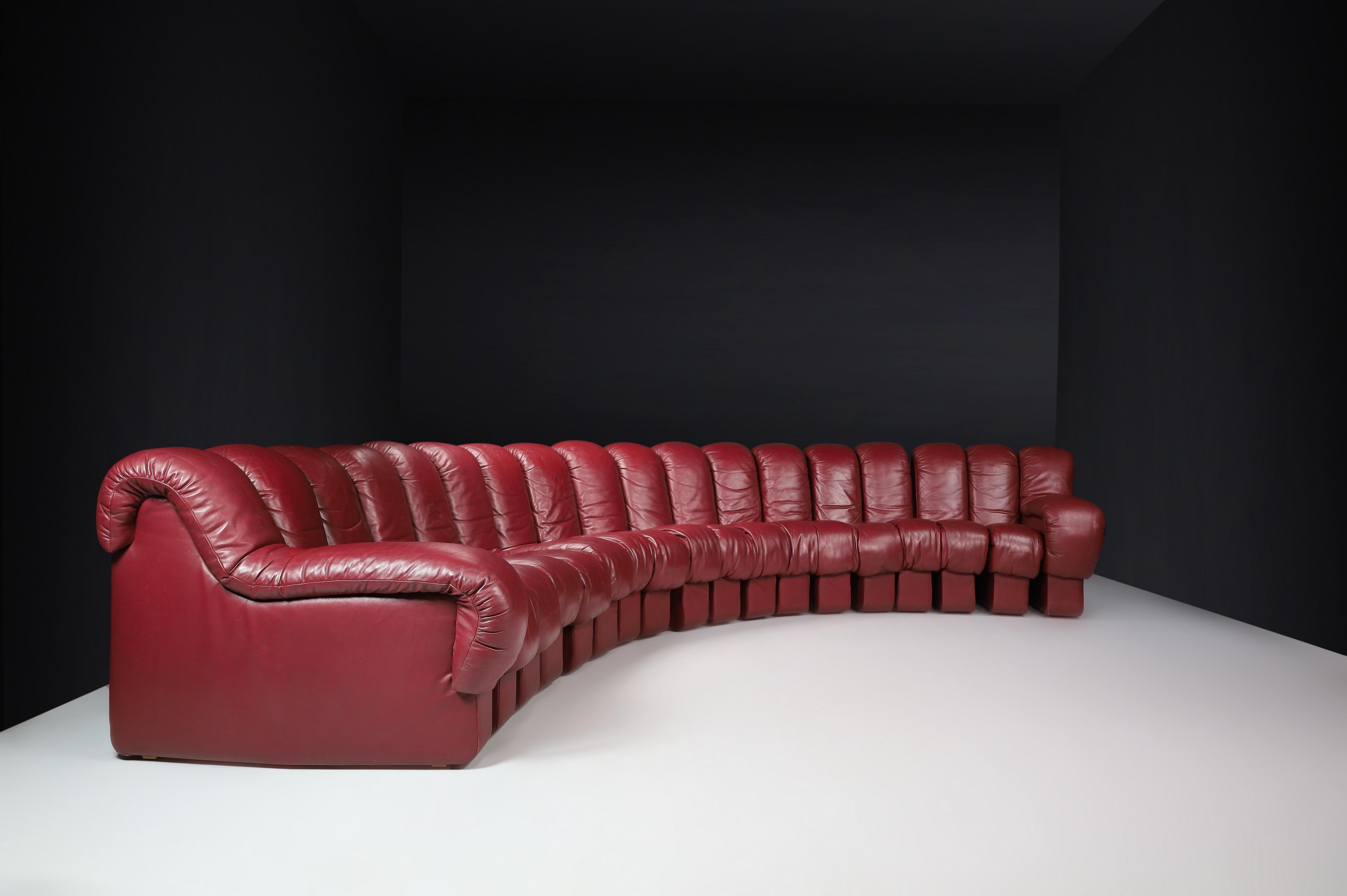 De Sede DS-600 'Snake' Sectional Sofa in Full Bordeaux Leather by Ueli Berger. In Good Condition For Sale In Almelo, NL
