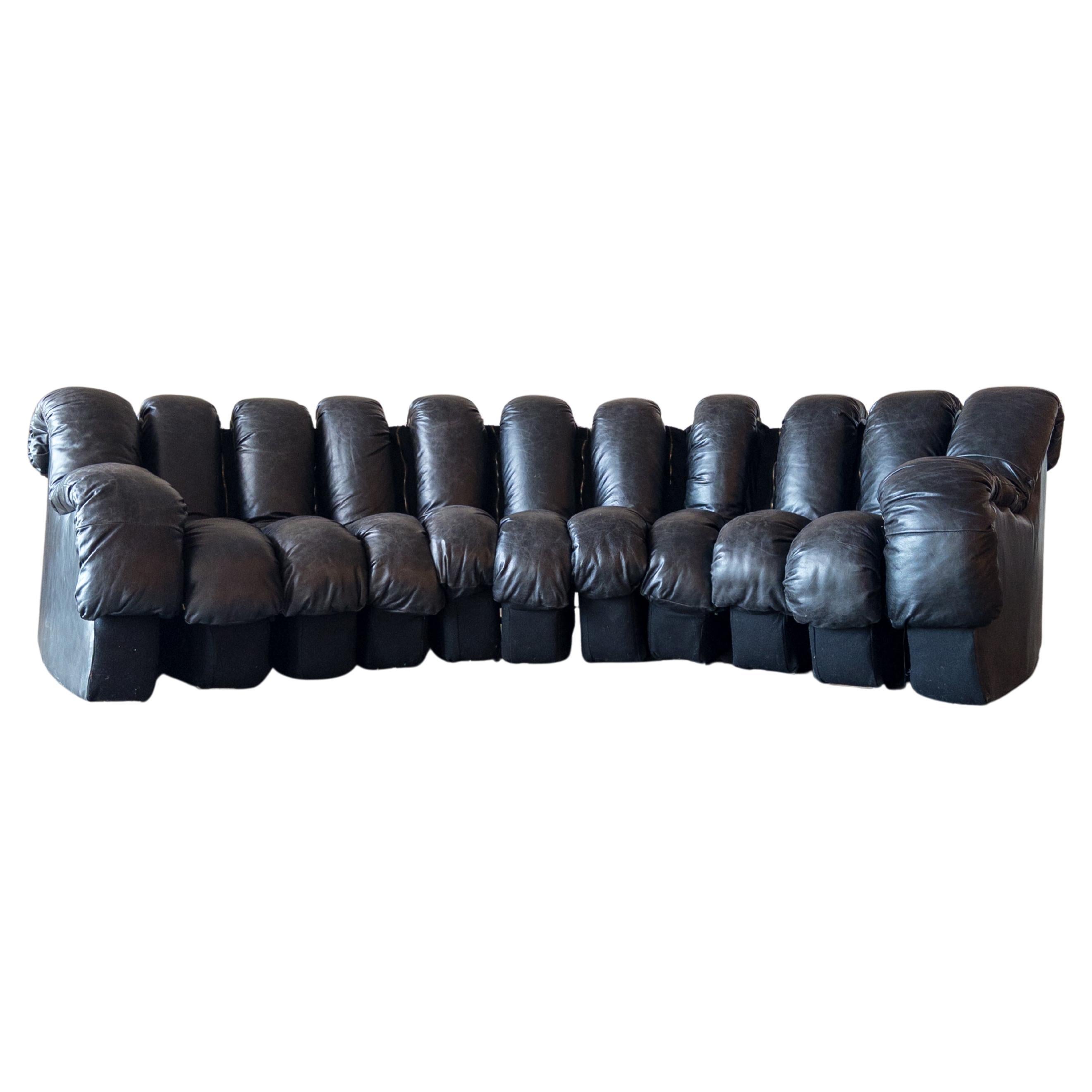 De Sede DS-600 'Schlangen' Modulsofas aus Leder