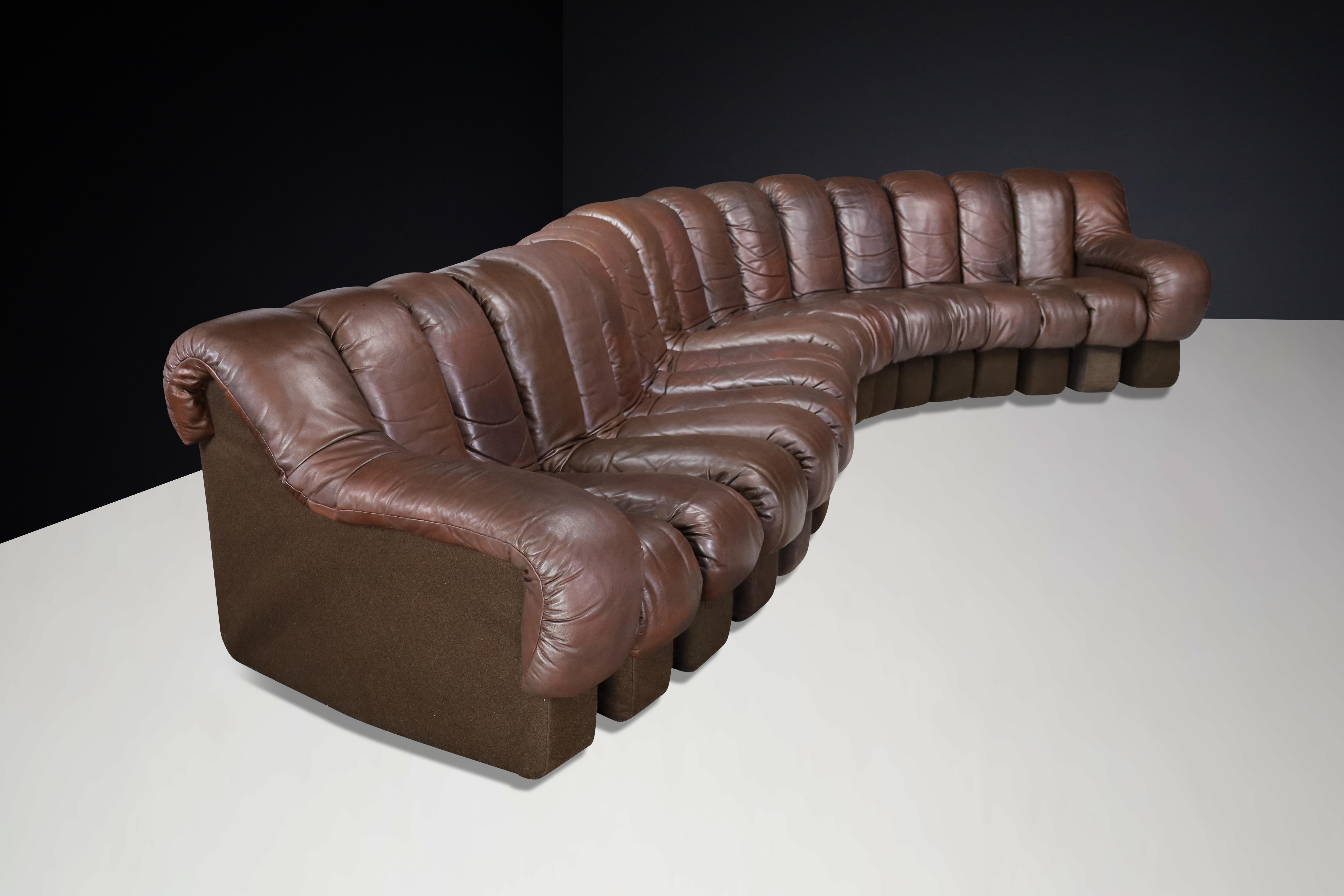 De Sede DS-600 'Snake' Sectional Sofa in Patinated Brown Leather by Ueli Berger. For Sale 1