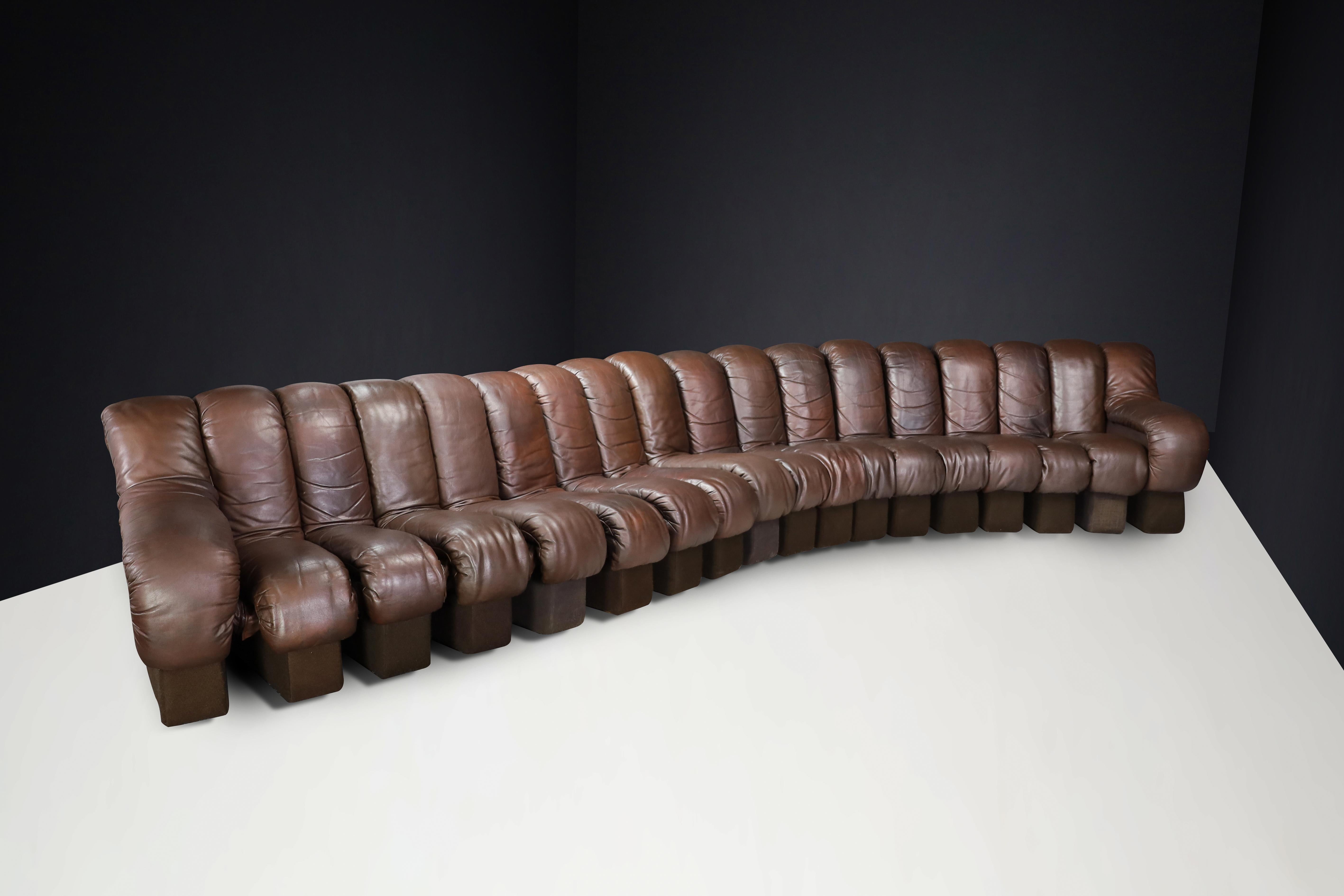 De Sede DS-600 'Snake' Sectional Sofa in Patinated Brown Leather by Ueli Berger. For Sale 2