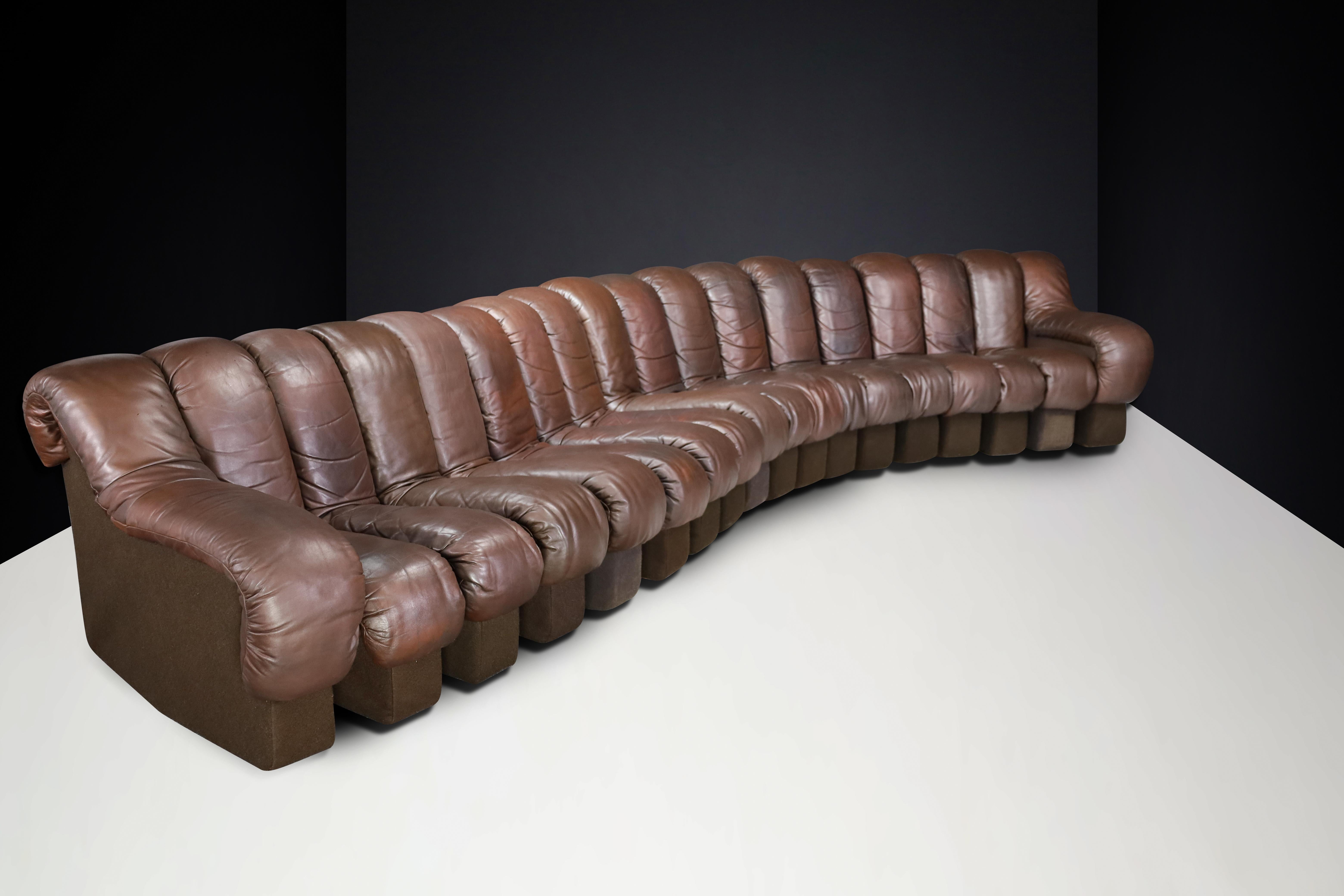 De Sede DS-600 'Snake' Sectional Sofa in Patinated Brown Leather by Ueli Berger. For Sale 4