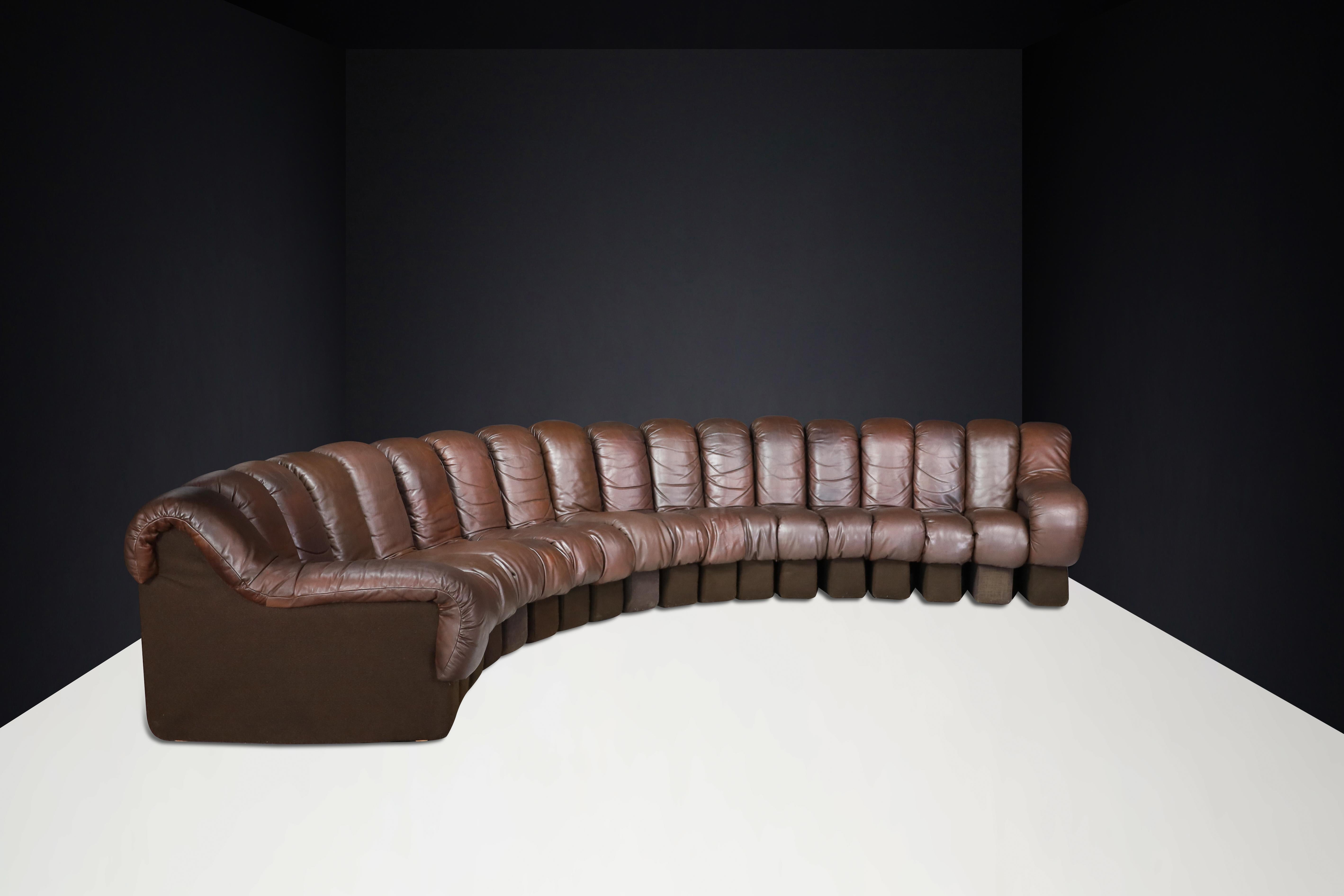 De Sede DS-600 'Snake' Sectional Sofa in Patinated Brown Leather by Ueli Berger. For Sale 5