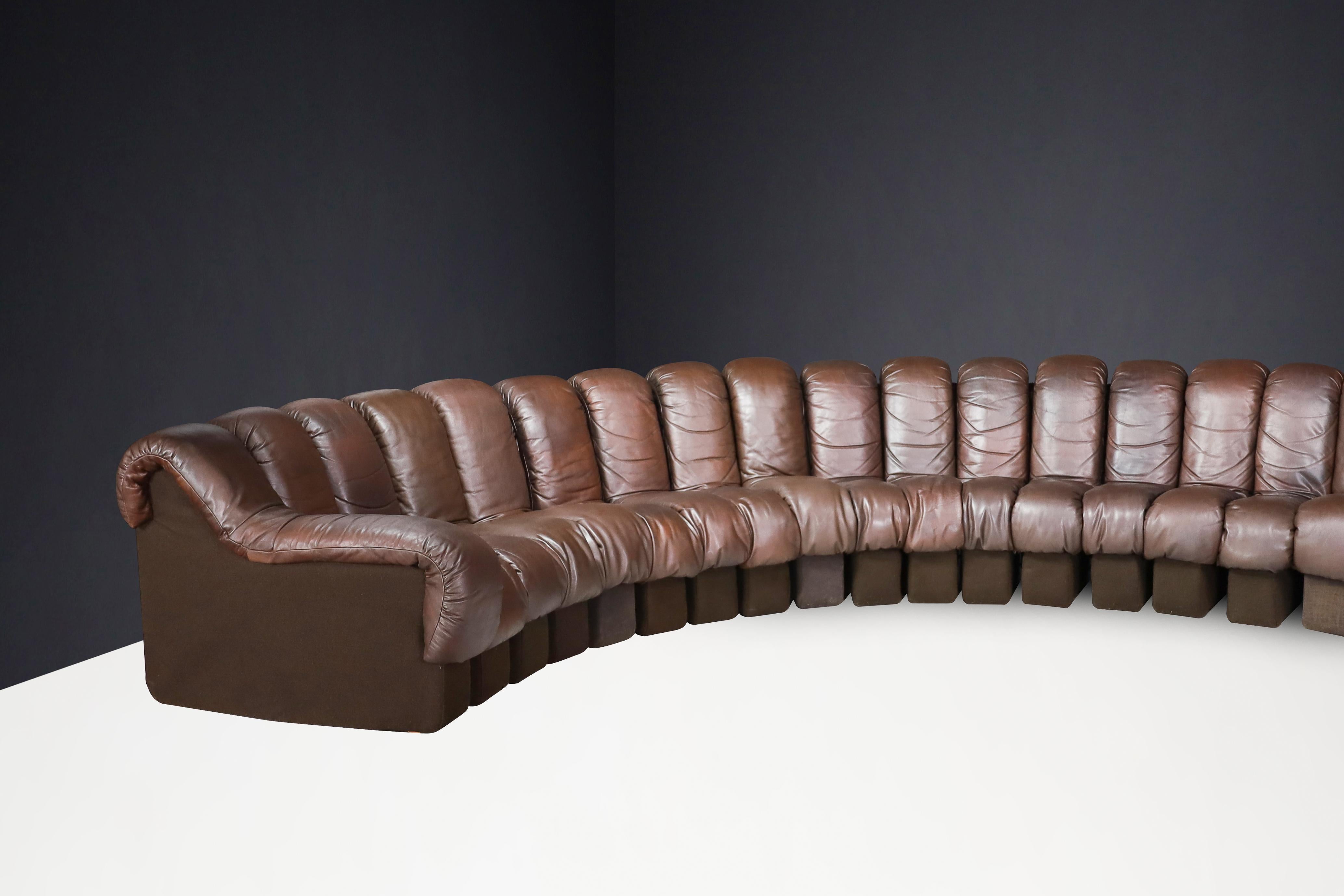 De Sede DS-600 'Snake' Sectional Sofa in Patinated Brown Leather by Ueli Berger. For Sale 6
