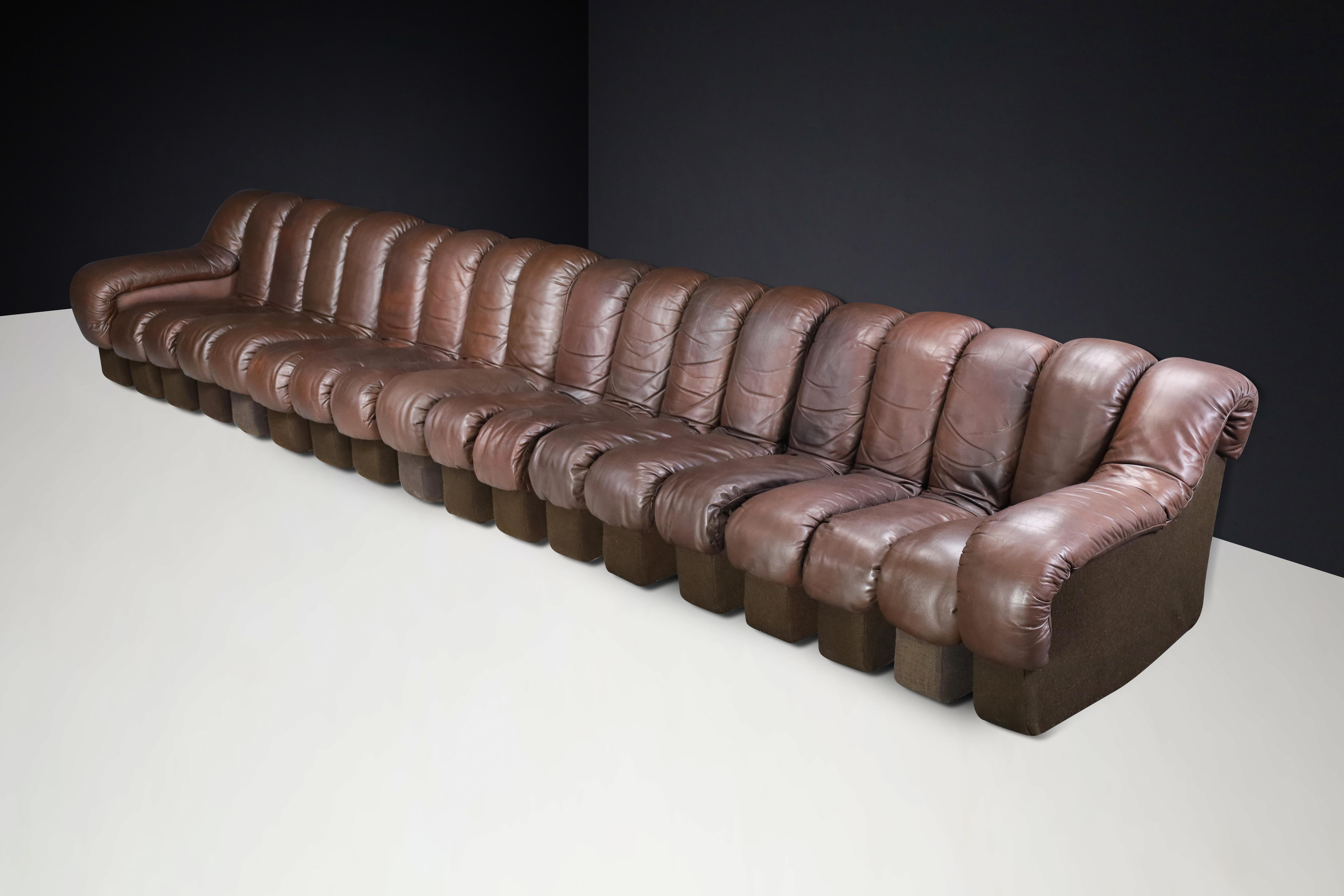 Mid-Century Modern De Sede DS-600 'Snake' Sectional Sofa in Patinated Brown Leather by Ueli Berger. For Sale