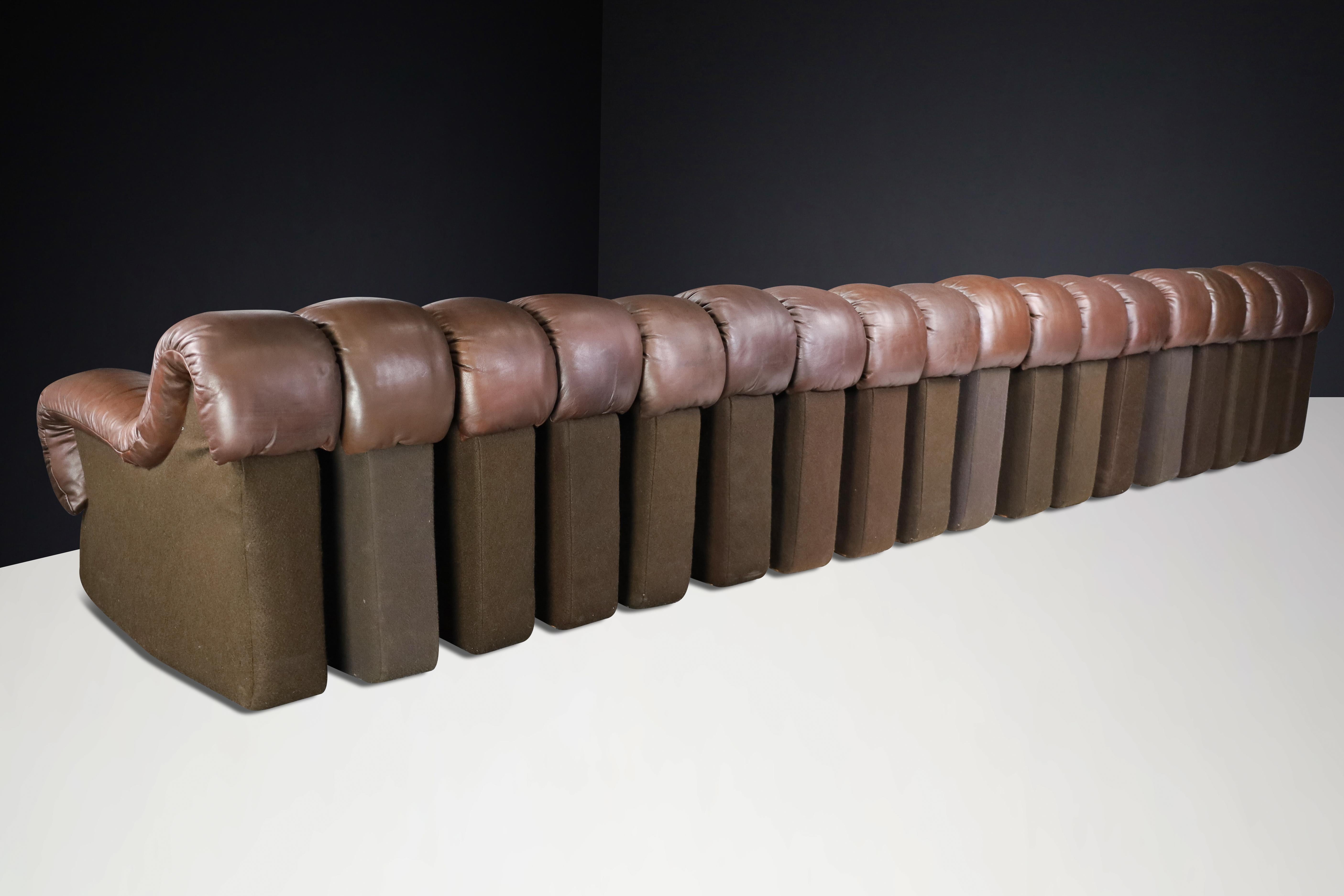 Swiss De Sede DS-600 'Snake' Sectional Sofa in Patinated Brown Leather by Ueli Berger. For Sale