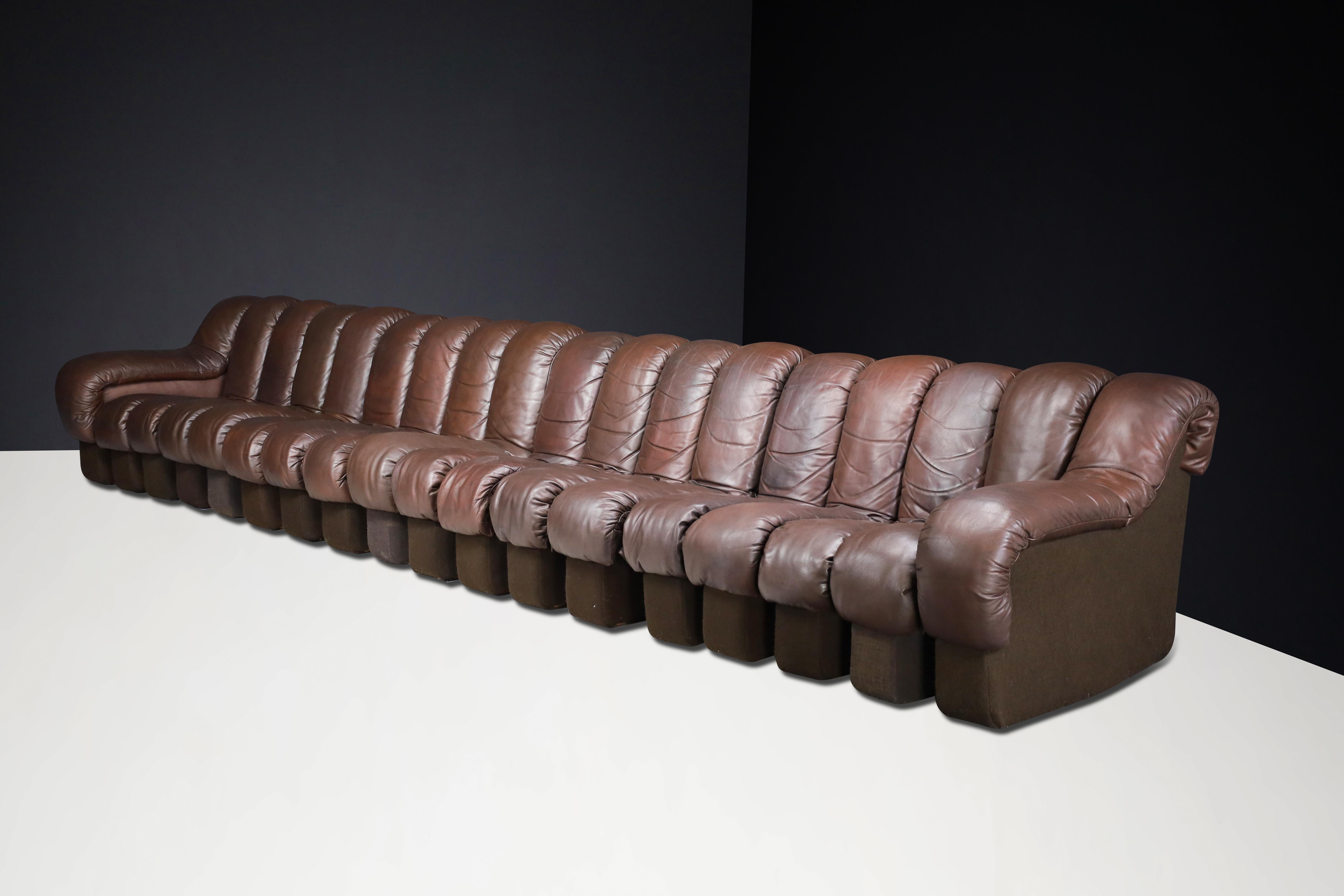 20th Century De Sede DS-600 'Snake' Sectional Sofa in Patinated Brown Leather by Ueli Berger. For Sale