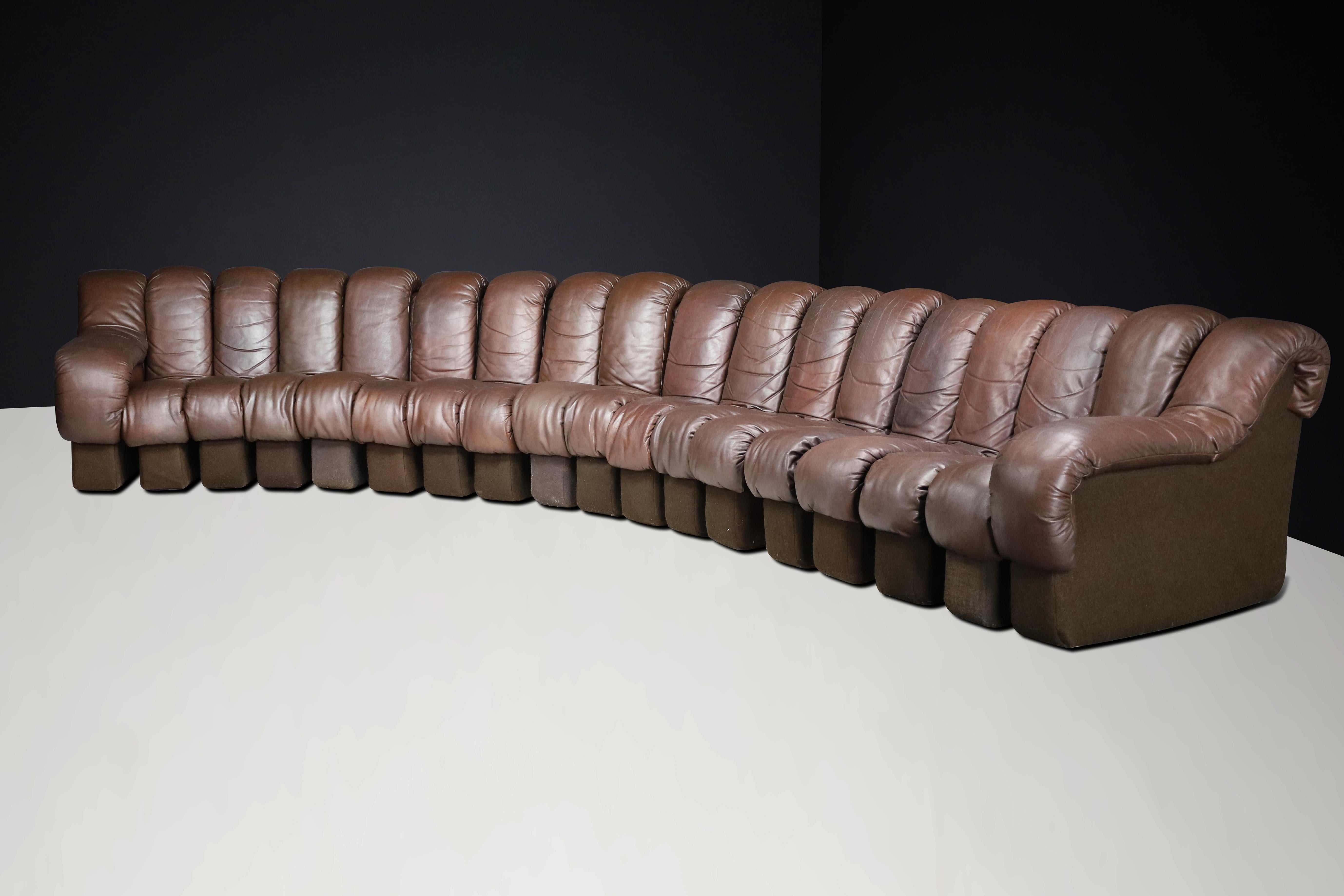 De Sede DS-600 'Snake' Sectional Sofa in Patinated Brown Leather by Ueli Berger. For Sale 1