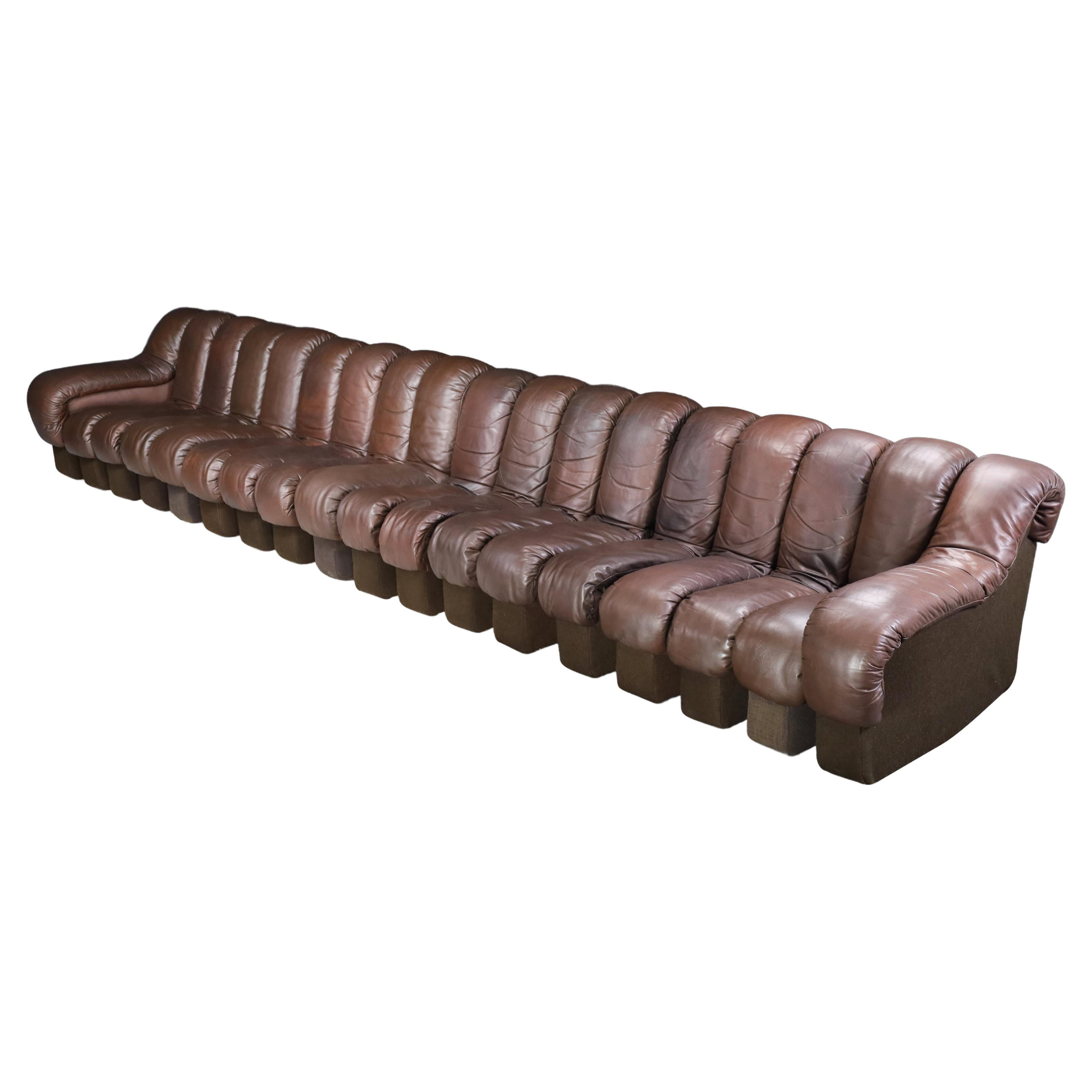 De Sede DS-600 'Snake' Sectional Sofa in Patinated Brown Leather by Ueli Berger.