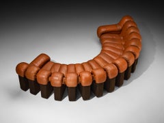 De Sede DS-600 Sofá seccional "Snake" en piel patinada marrón rojiza