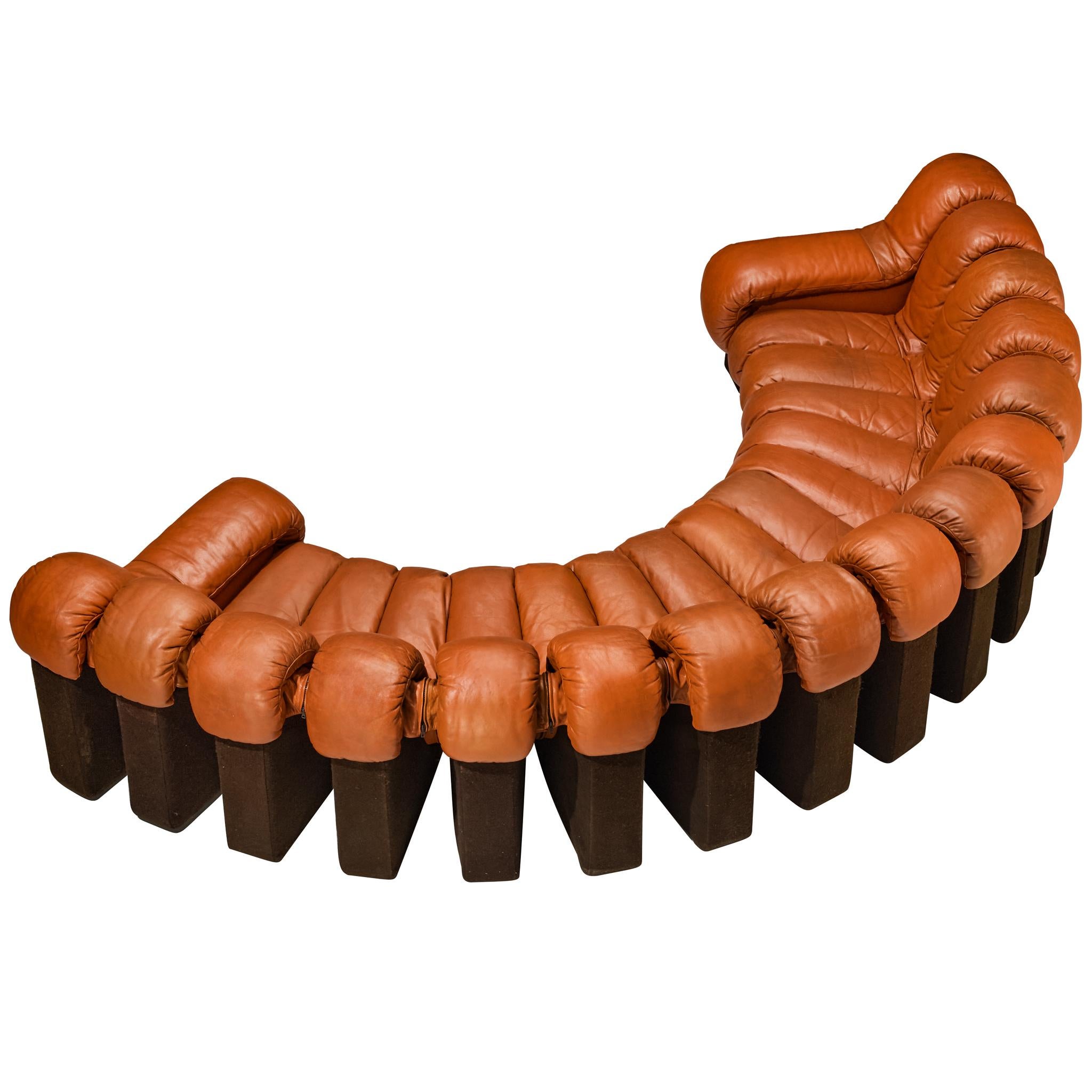 De Sede DS-600 'Snake' Sectional Sofa in Reddish-Brown Patinated Leather