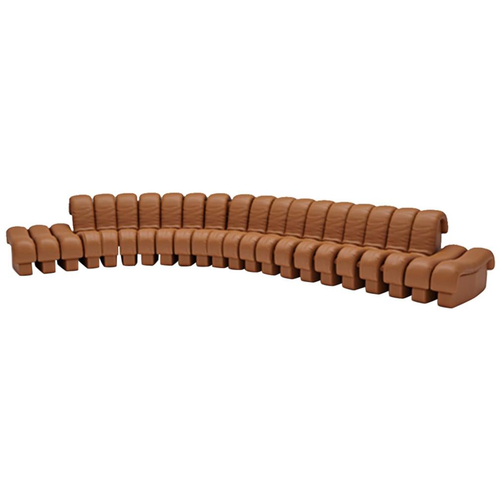 De Sede DS-600 Snake-Shape Modular Sofa in Brown with Adjustable Elements