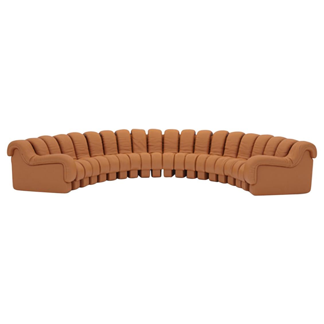 De Sede DS-600 Snake-Shape Modular Sofa in Cuoio Leather and Adjustable Elements