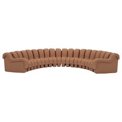 De Sede DS-600 Snake-Shape Modular Sofa in Hazel Leather and Adjustable Elements