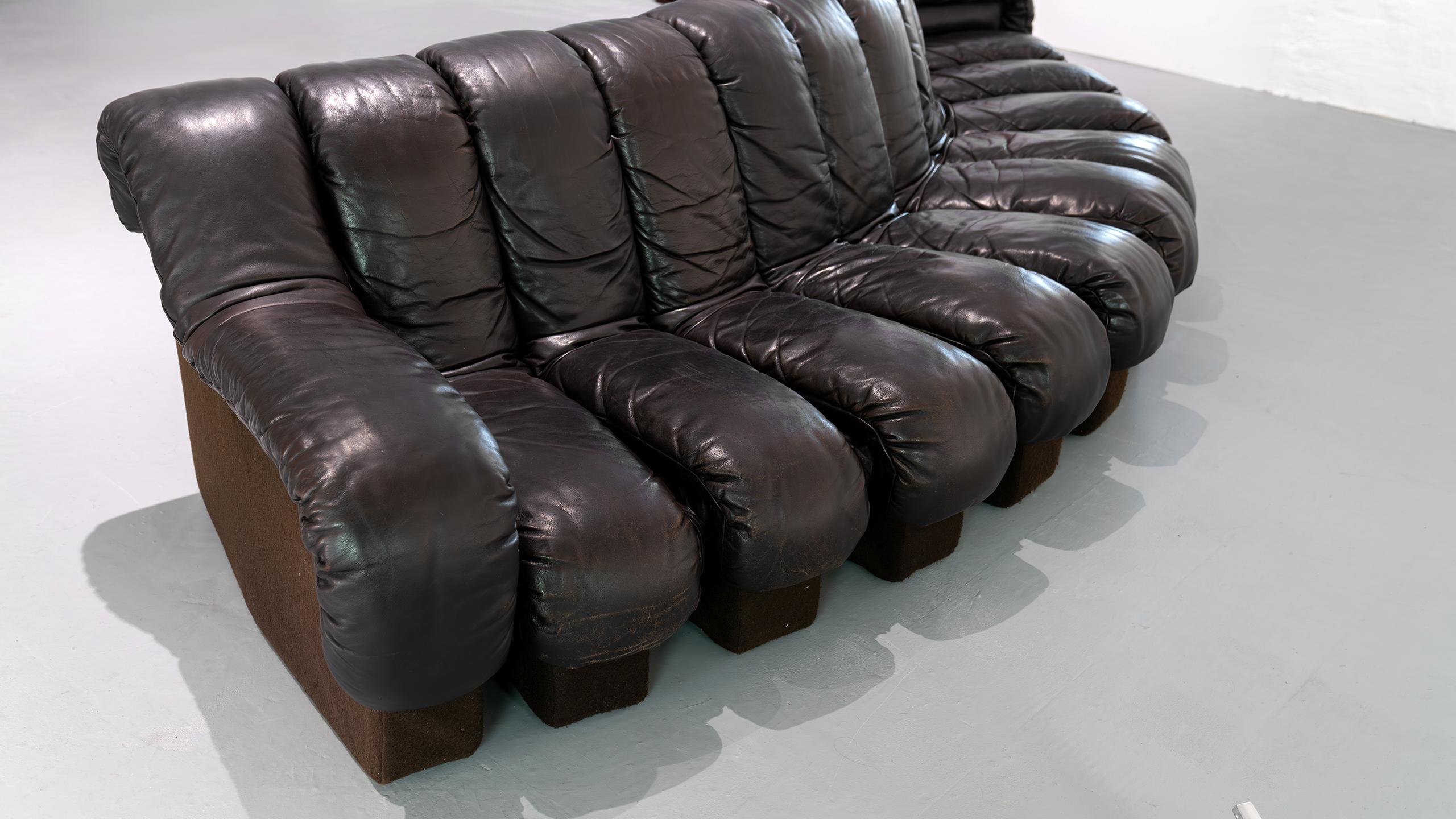 De Sede Sofa DS 600 Snake Ueli Berger & Riva 1972 Brown Leather 12 Elements  For Sale 4