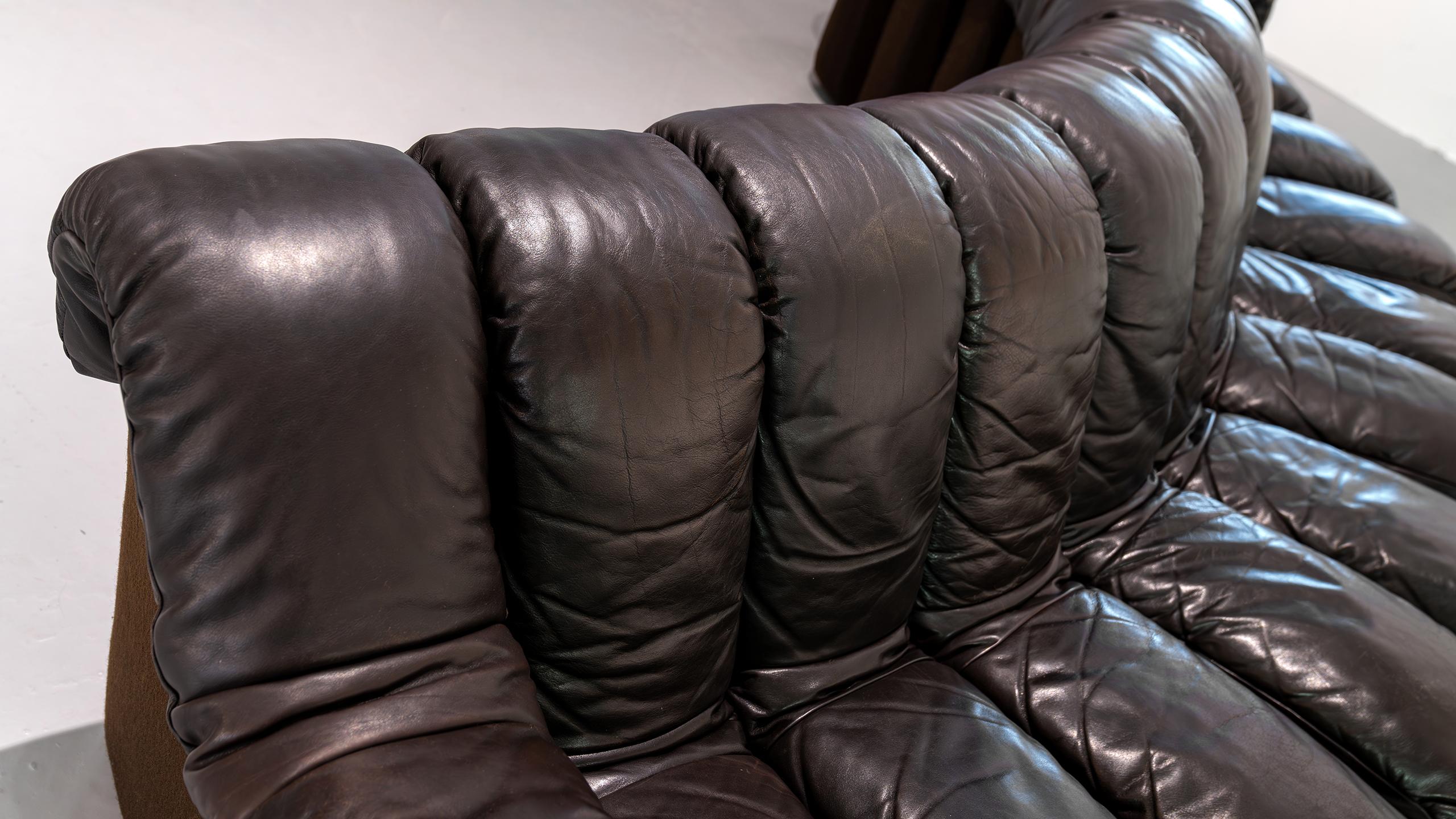 De Sede Sofa DS 600 Snake Ueli Berger & Riva 1972 Brown Leather 12 Elements  For Sale 5