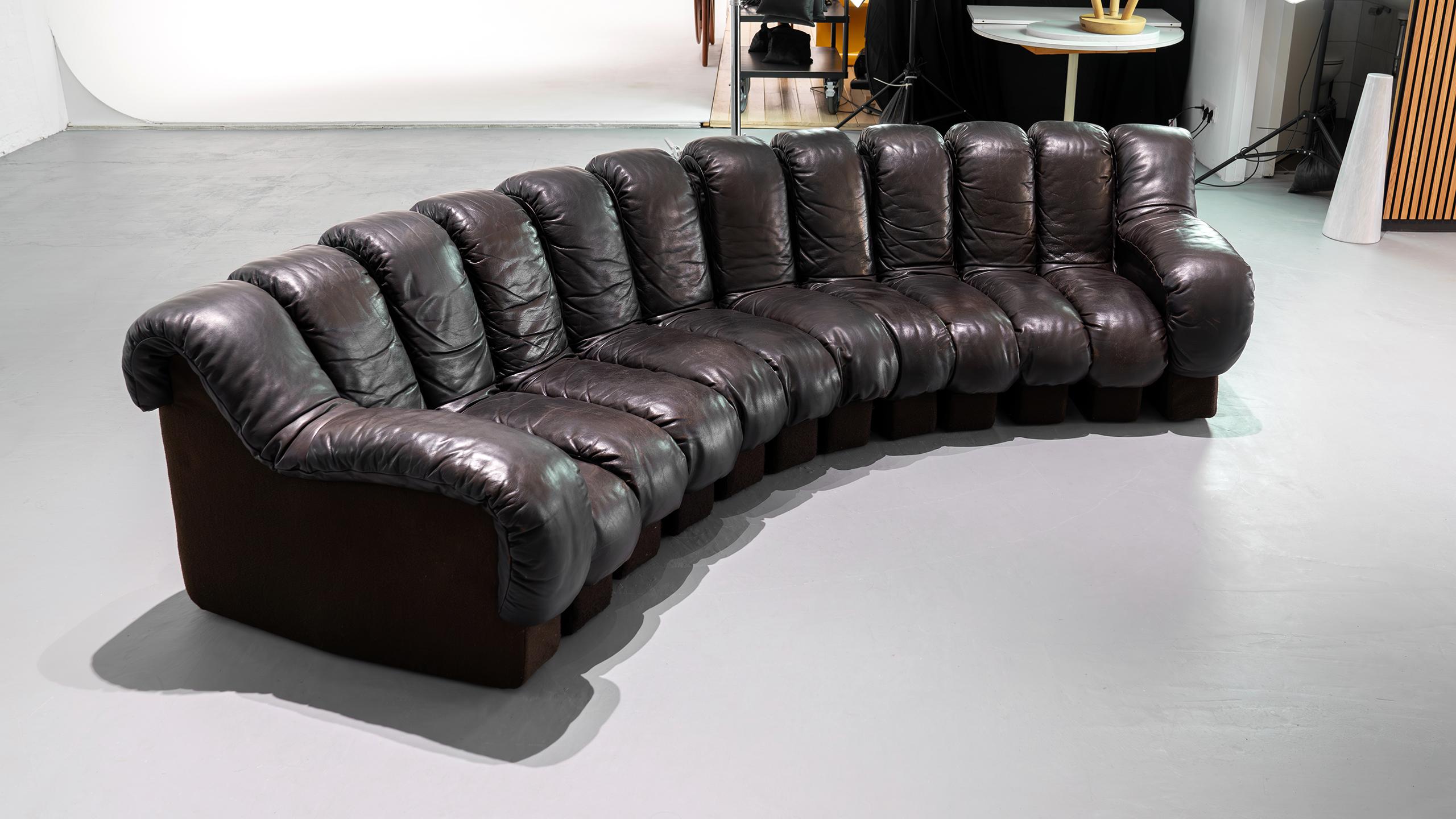 De Sede Sofa DS 600 Snake Ueli Berger & Riva 1972 Brown Leather 12 Elements  For Sale 6