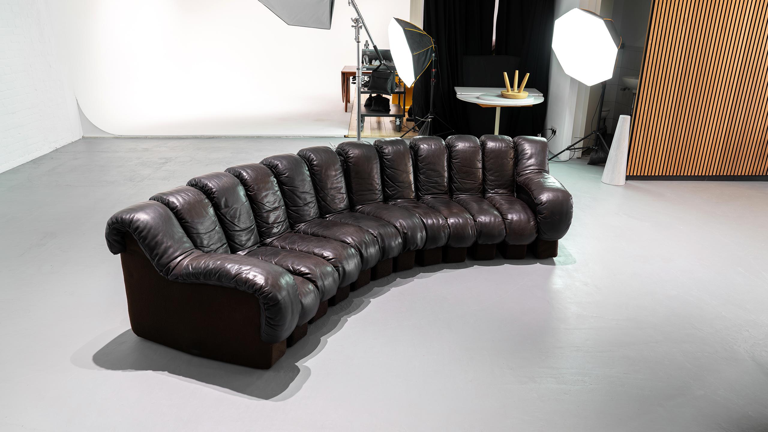 De Sede Sofa DS 600 Snake Ueli Berger & Riva 1972 Brown Leather 12 Elements  For Sale 7