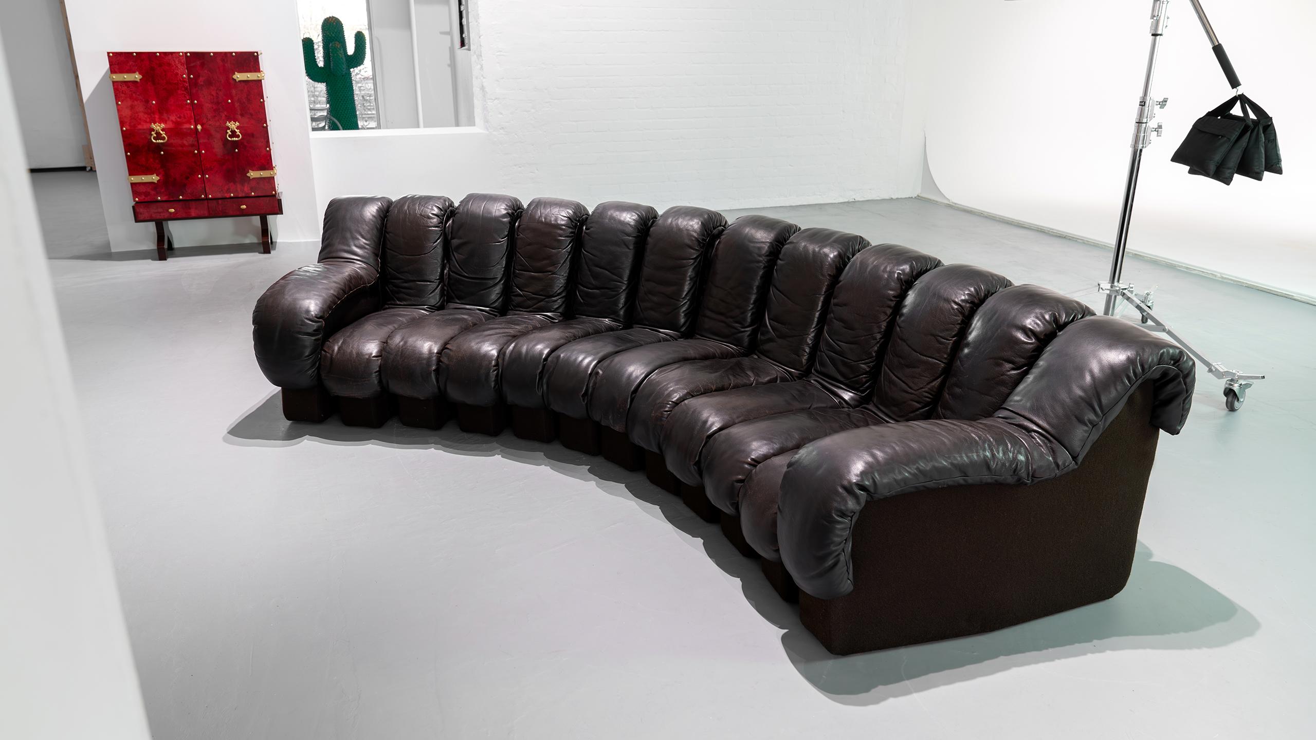 De Sede Sofa DS 600 Snake Ueli Berger & Riva 1972 Brown Leather 12 Elements  For Sale 8