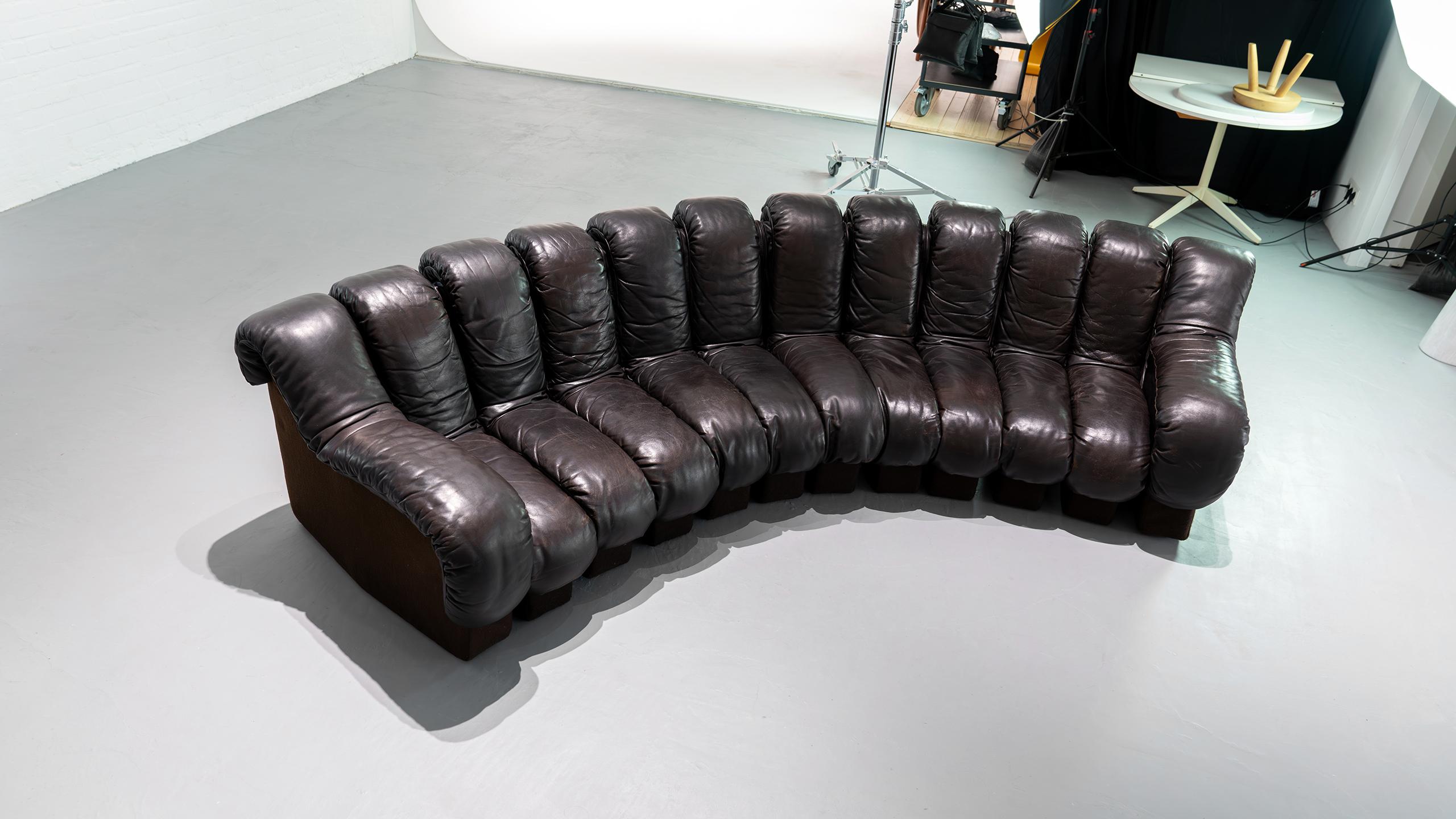 De Sede Sofa DS 600 Snake Ueli Berger & Riva 1972 Brown Leather 12 Elements  For Sale 10