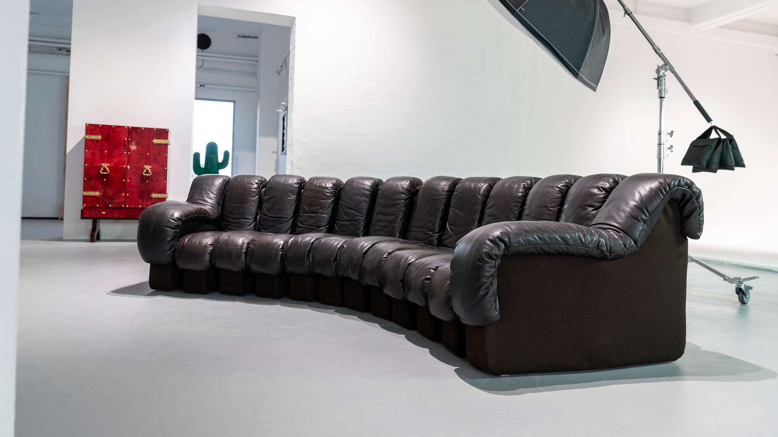 De Sede Sofa DS 600 Snake Ueli Berger & Riva 1972 Brown Leather 12 Elements  For Sale 11