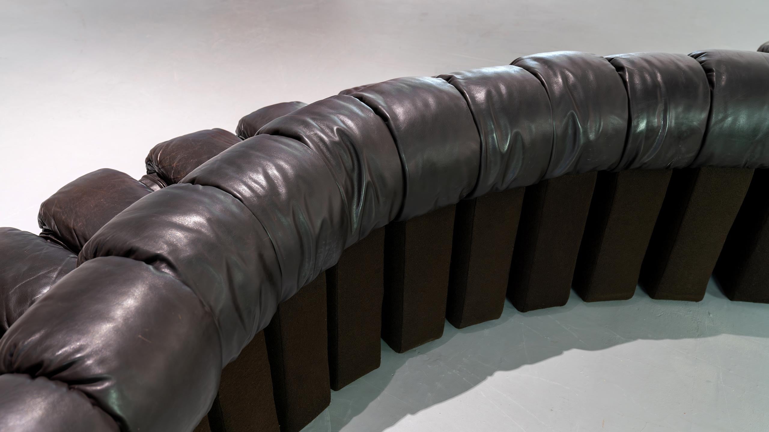 De Sede Sofa DS 600 Snake Ueli Berger & Riva 1972 Brown Leather 12 Elements  For Sale 13