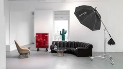 De Sede Sofa DS 600 Snake Ueli Berger & Riva 1972 Braunes Leder 12 Elemente