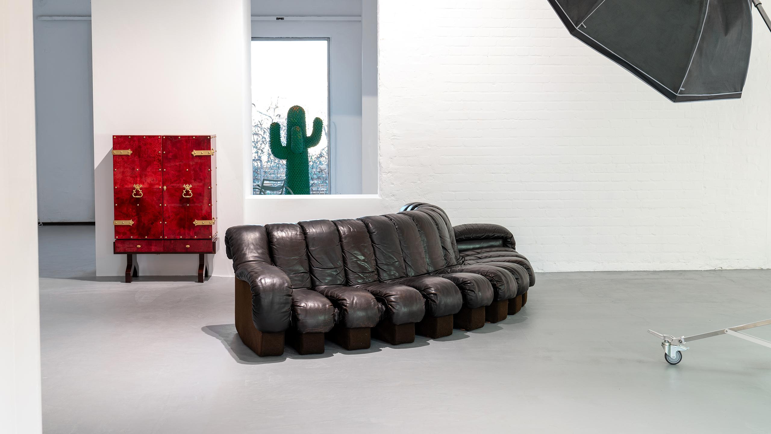 De Sede Sofa DS 600 Snake Ueli Berger & Riva 1972 Brown Leather 12 Elements  For Sale 2