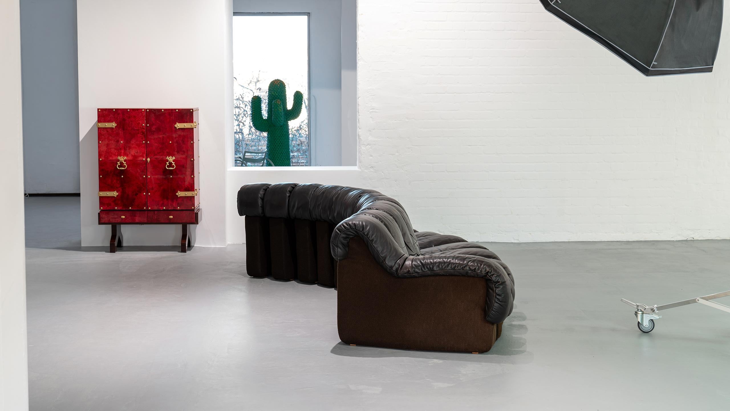De Sede Sofa DS 600 Snake Ueli Berger & Riva 1972 Brown Leather 12 Elements  For Sale 3