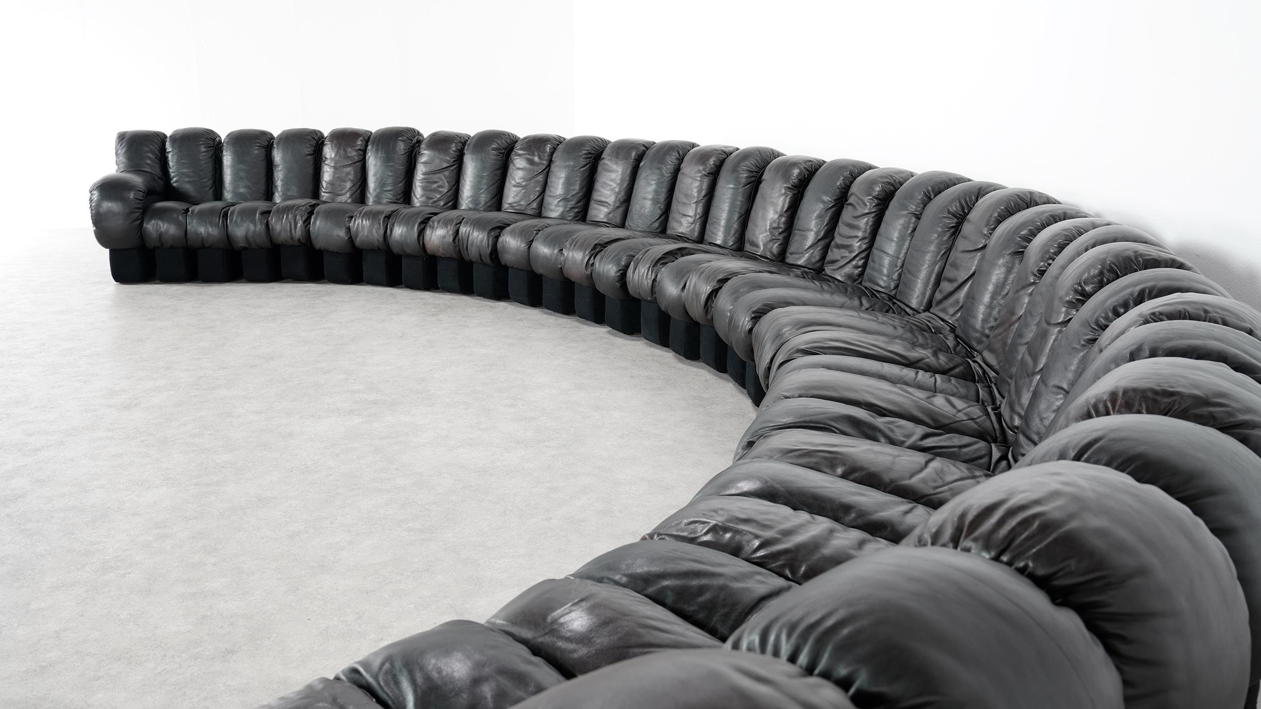 Mid-Century Modern De Sede DS 600 Snake Sofa by Ueli Berger, 1972 Black & Brown Leather 36 Elemens