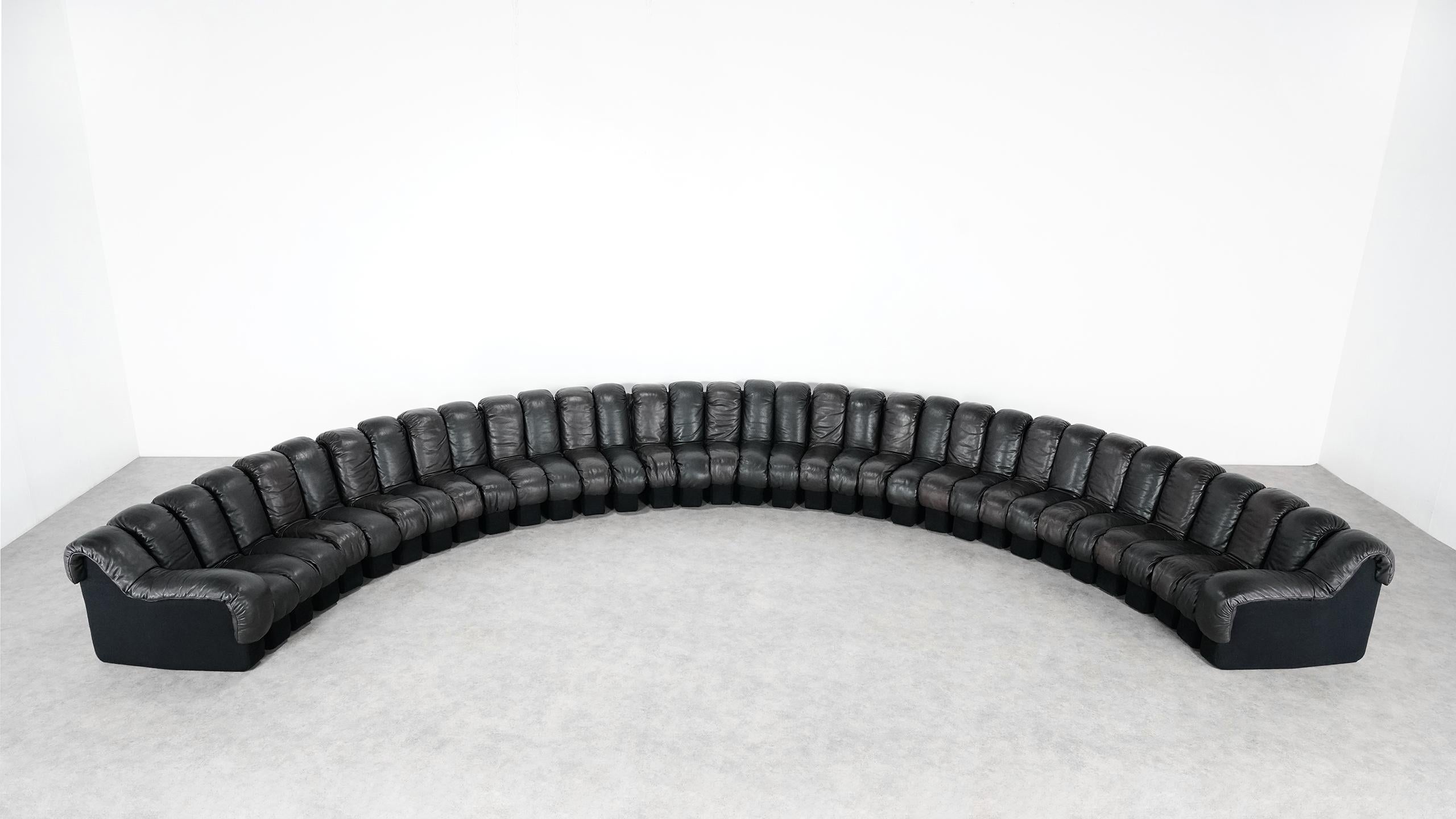 Late 20th Century De Sede DS 600 Snake Sofa by Ueli Berger, 1972 Black & Brown Leather 36 Elemens