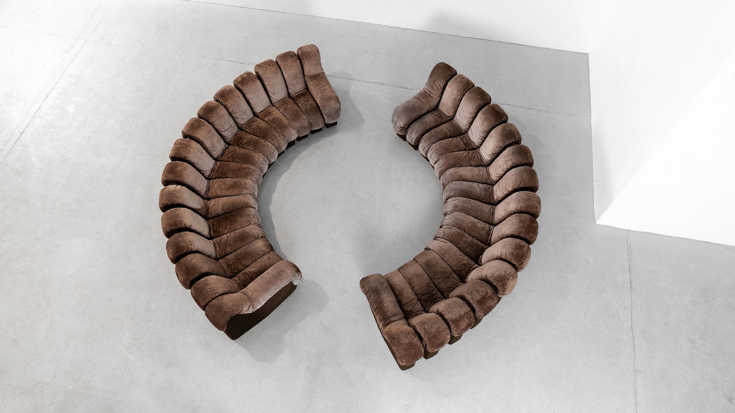 De Sede DS 600 Snake Sofa by Ueli Berger, 1972 brown Suede Leather 30 Elements 6