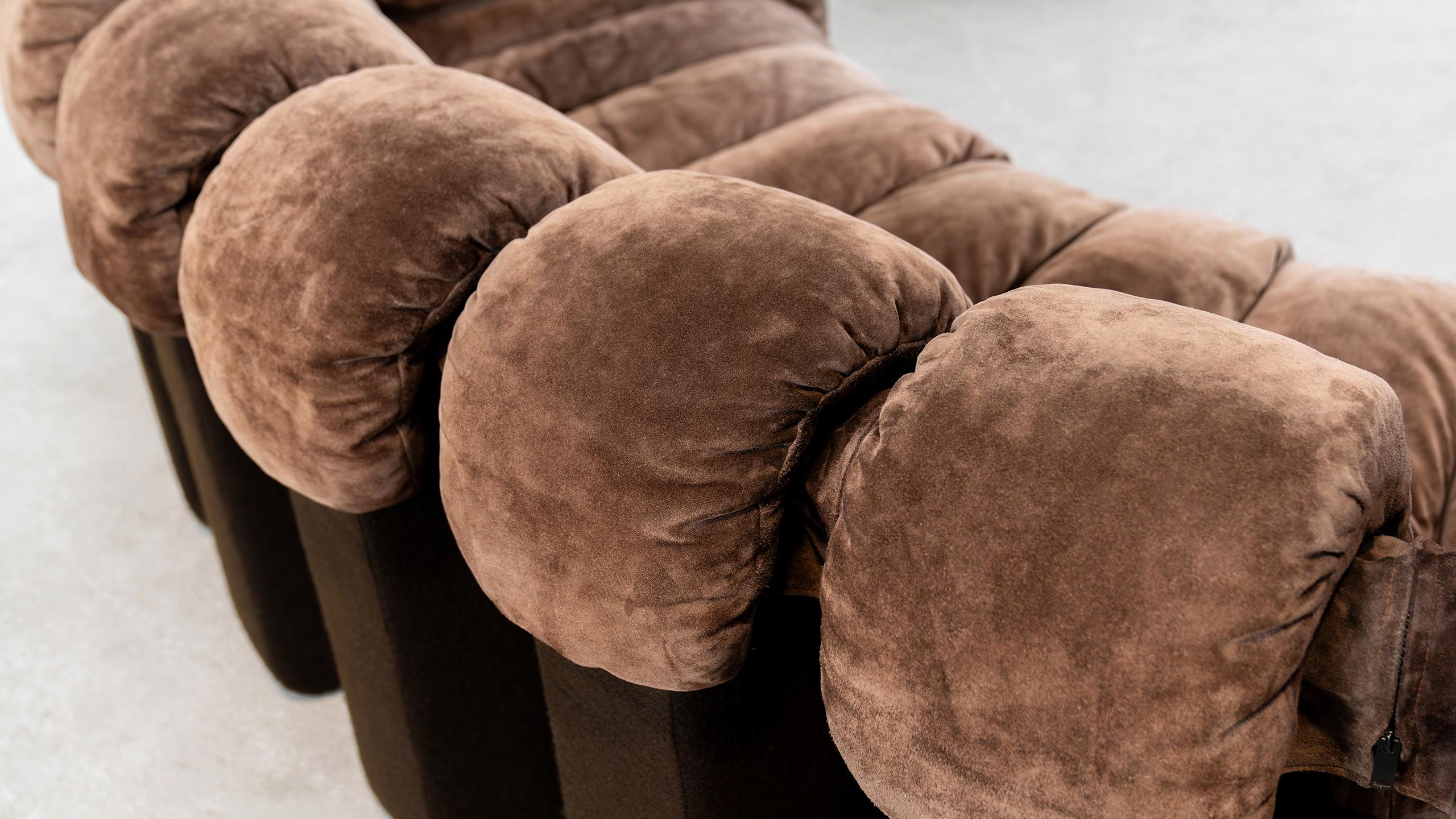 De Sede DS 600 Snake Sofa by Ueli Berger, 1972 brown Suede Leather 30 Elements 7