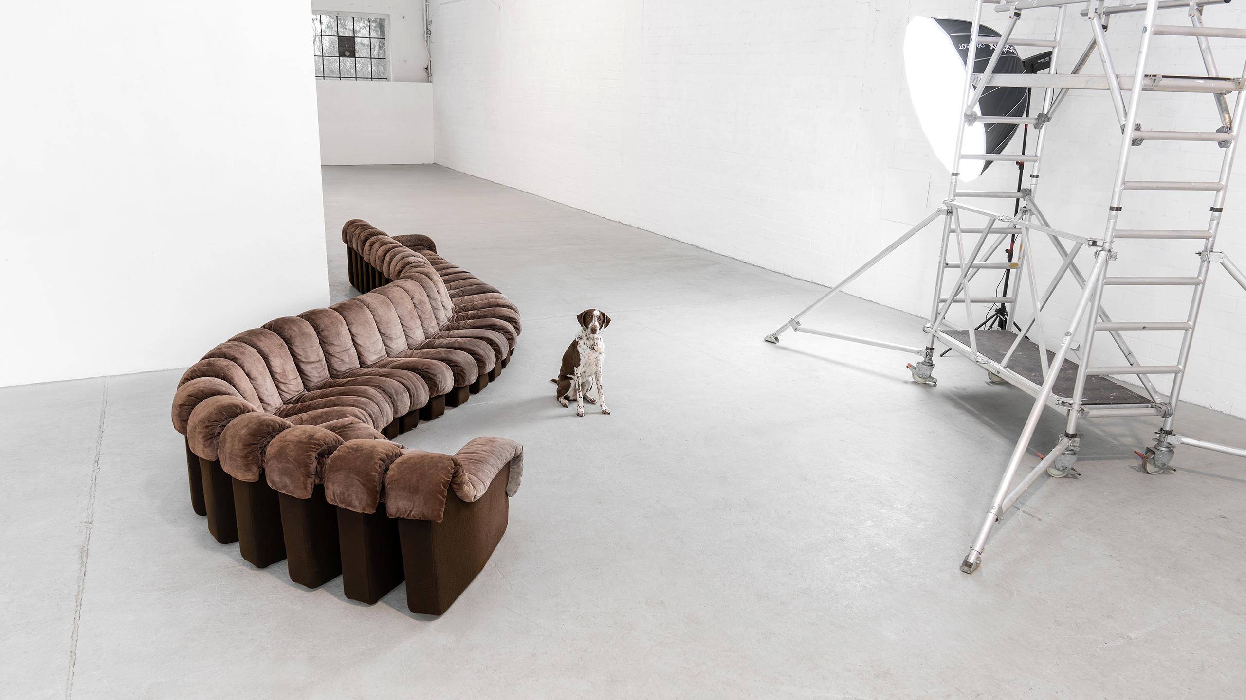 De Sede DS 600 Snake Sofa by Ueli Berger, 1972 brown Suede Leather 30 Elements 13