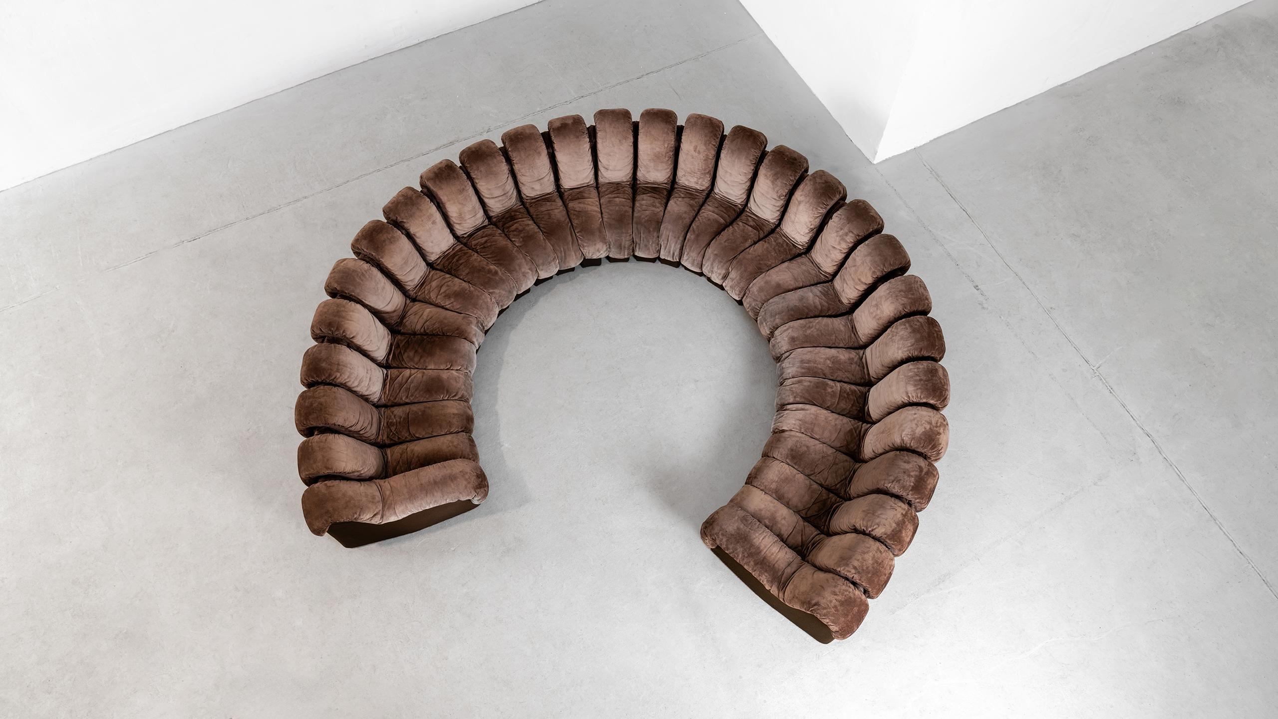 De Sede DS 600 Snake Sofa by Ueli Berger, 1972 brown Suede Leather 30 Elements 1