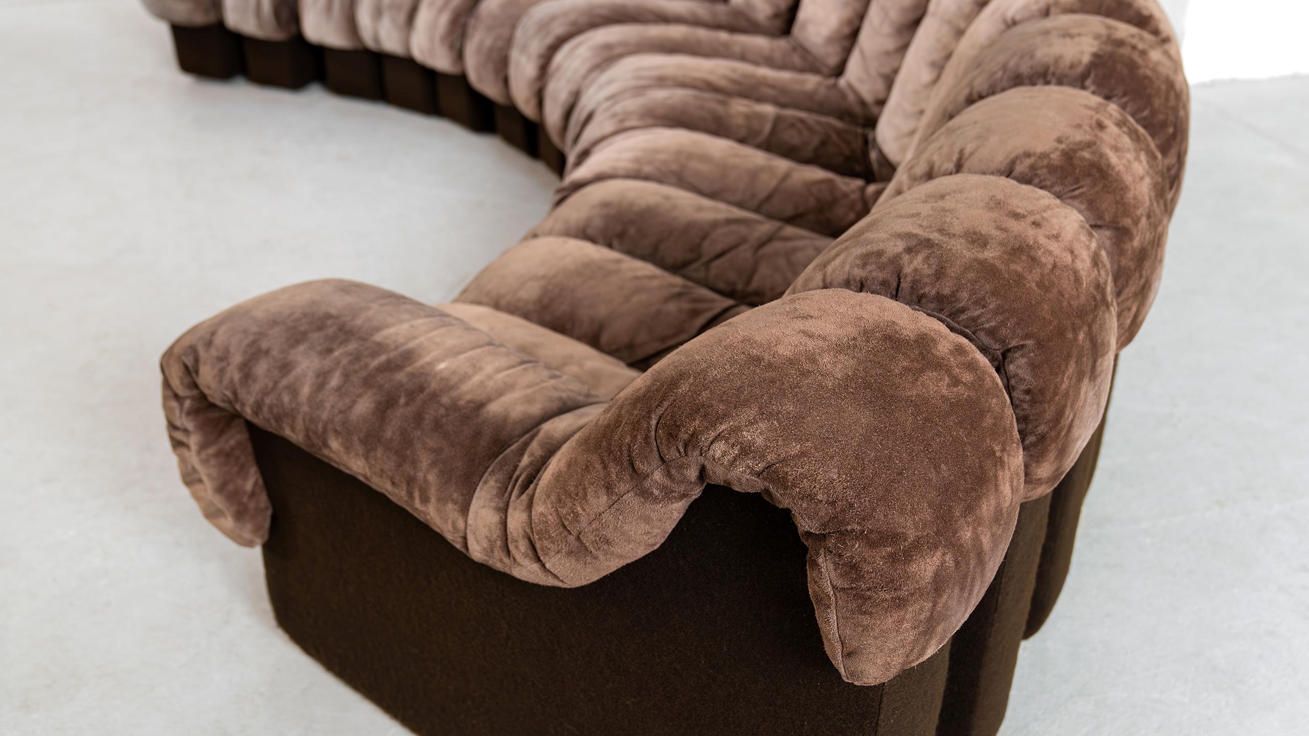 De Sede DS 600 Snake Sofa by Ueli Berger, 1972 brown Suede Leather 30 Elements 2