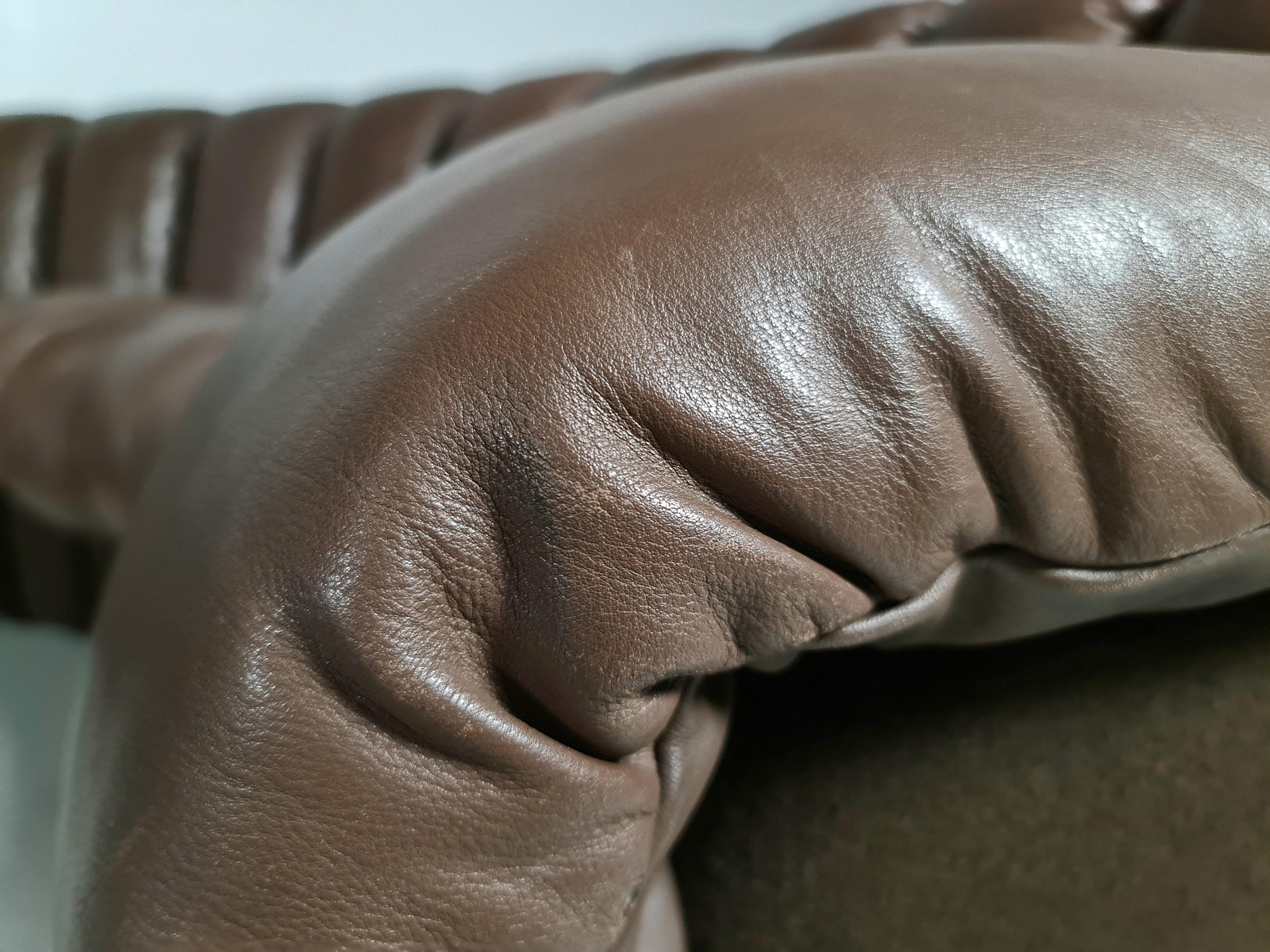 De Sede DS-600 Snake Sofa in Dark Brown Leather, 1970s 4