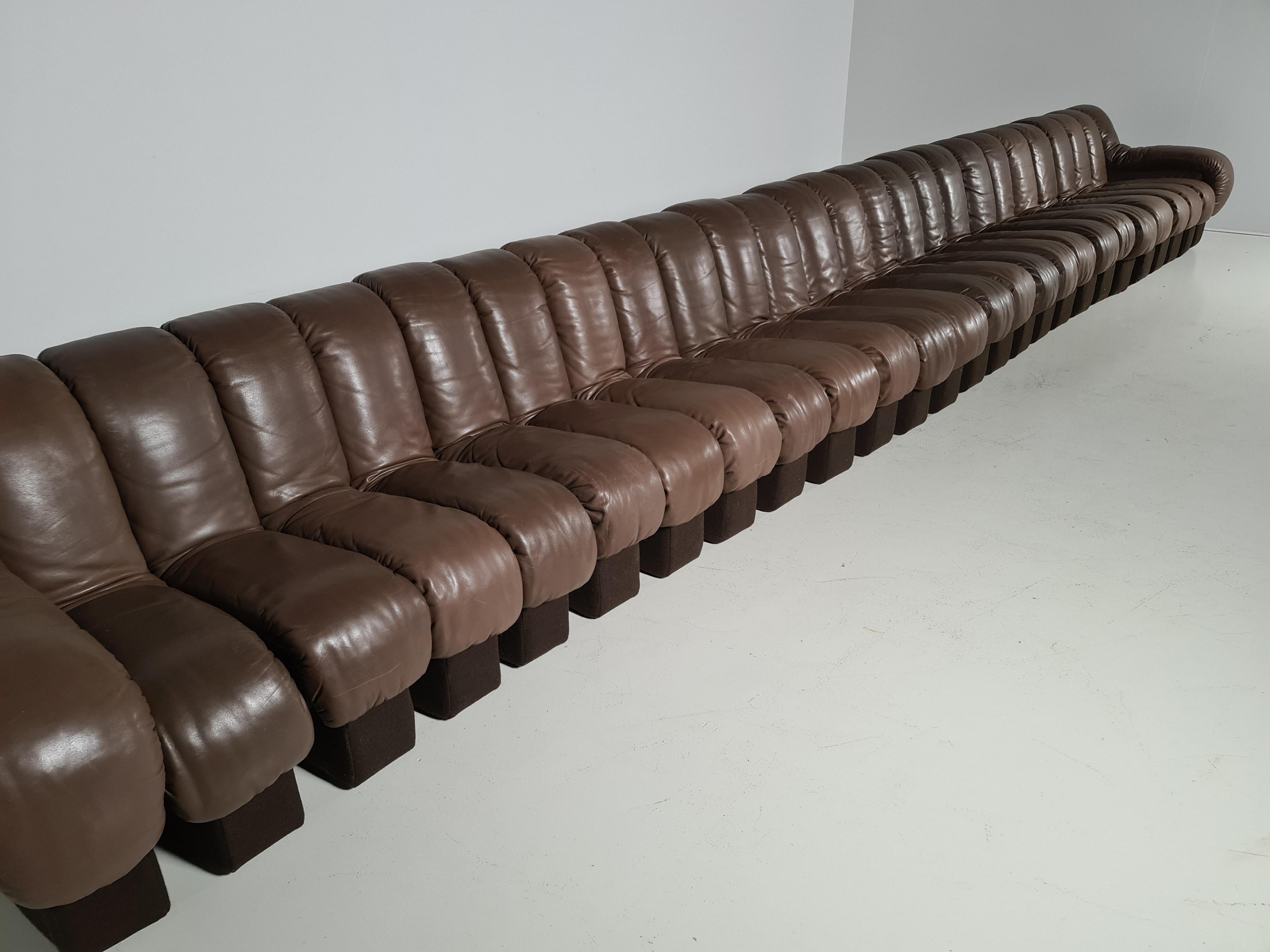 Mid-Century Modern De Sede DS-600 Snake Sofa in Dark Brown Leather, 1970s